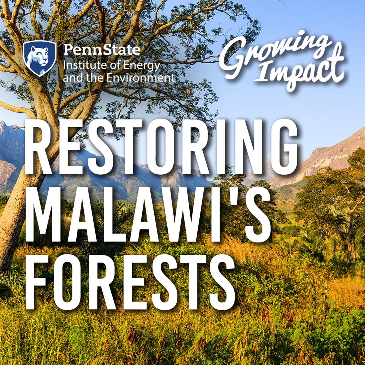Restoring Malawi's Forests