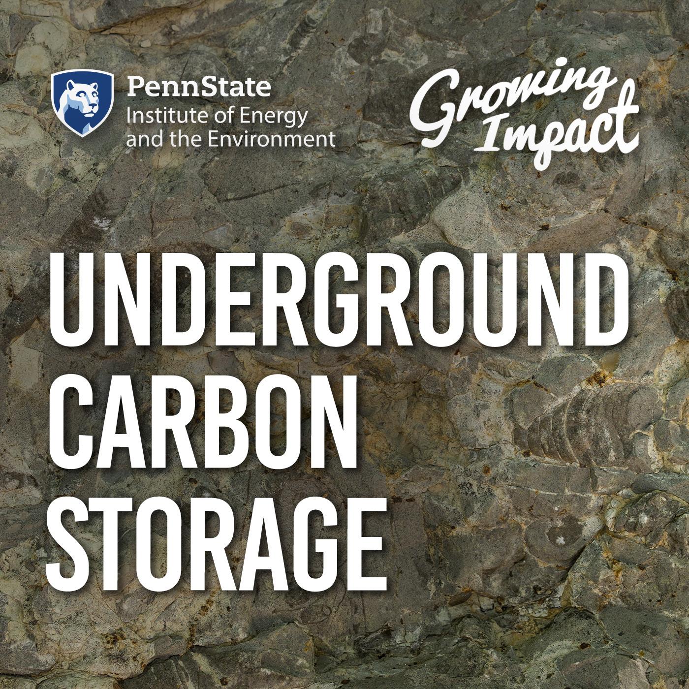 Underground carbon storage