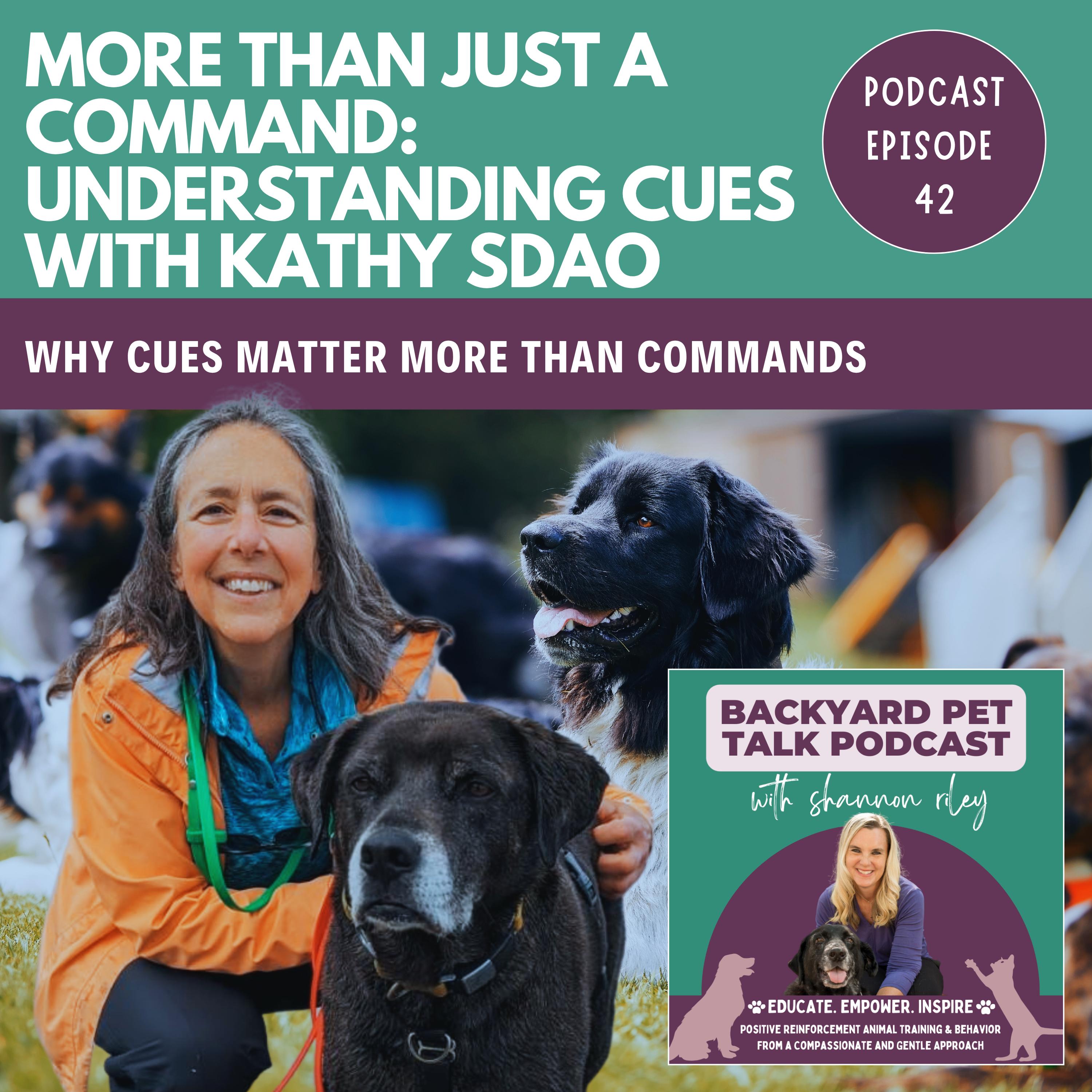 Backyard Pet Talk with Shannon Riley