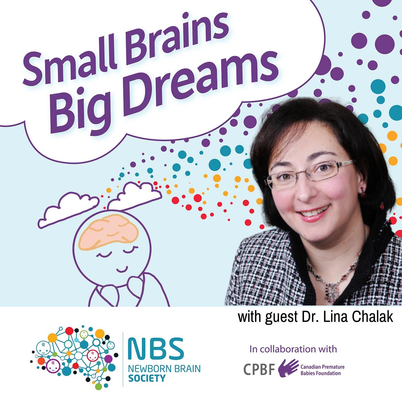 On Mentorship with Dr. Lina Chalak