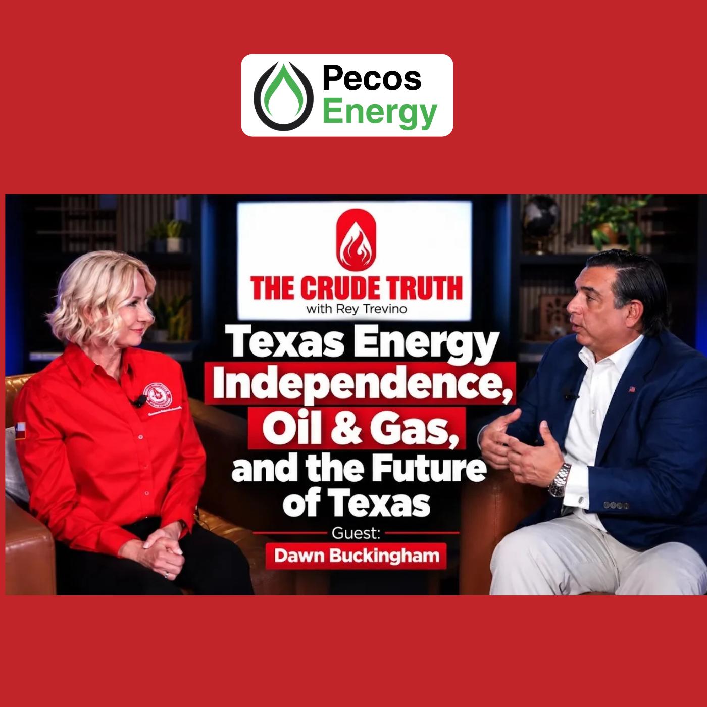 The Texas Engine: How One State is Securing Energy, Mineral, and Food Independence for America episode artwork