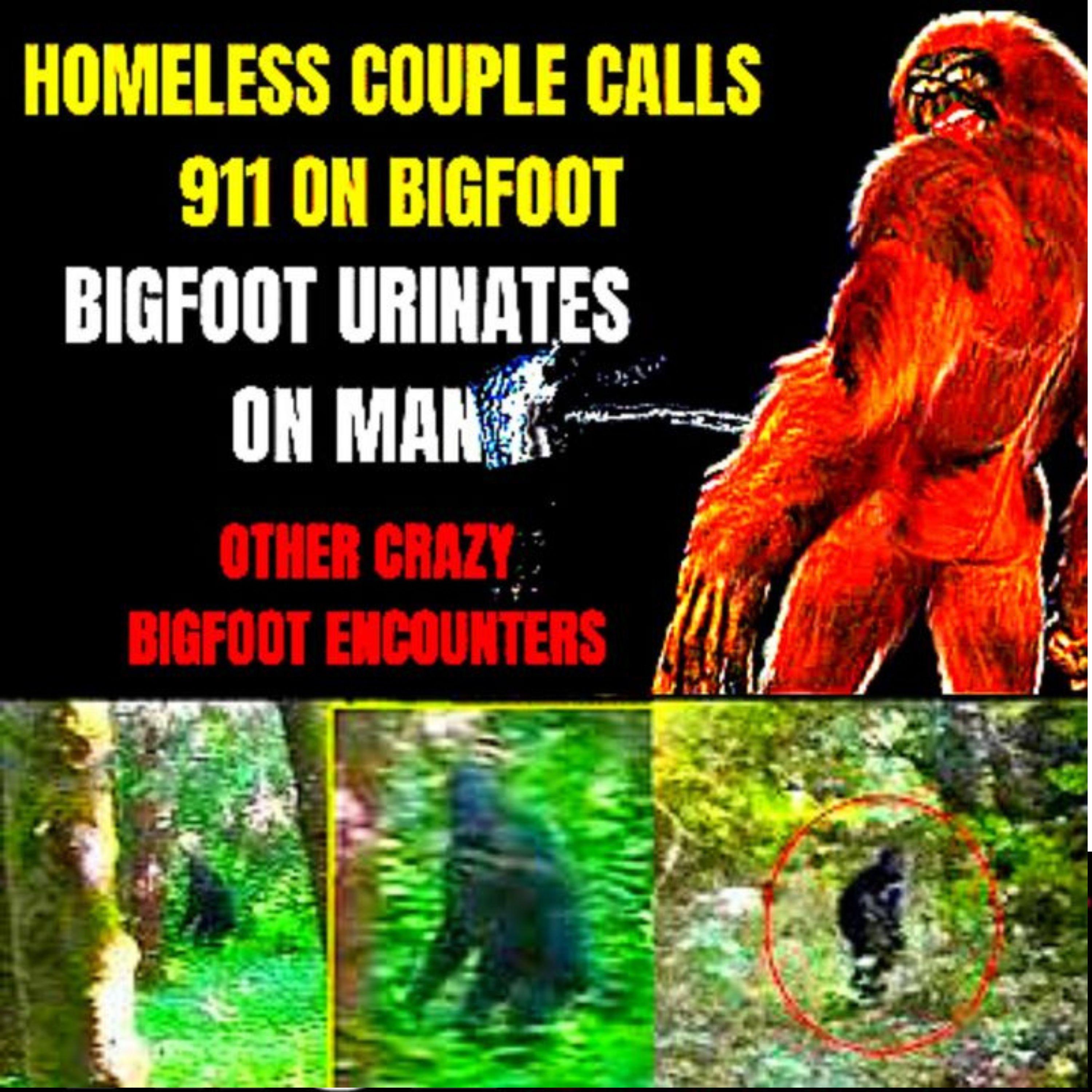 Weird Bigfoot Encounters - Homeless Couple Calls 911 on Bigfoot ACTUAL AUDIO