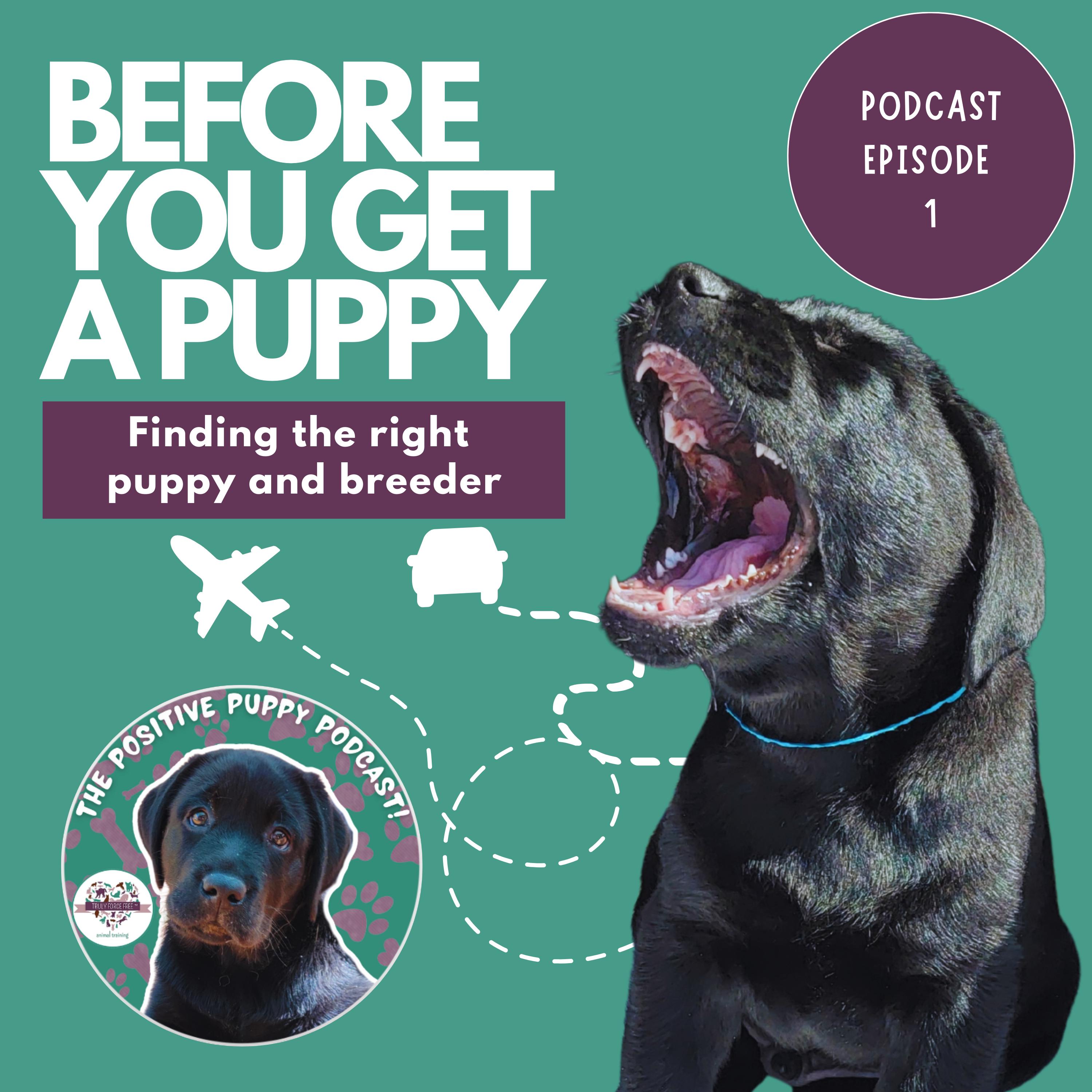 The Positive Puppy Podcast