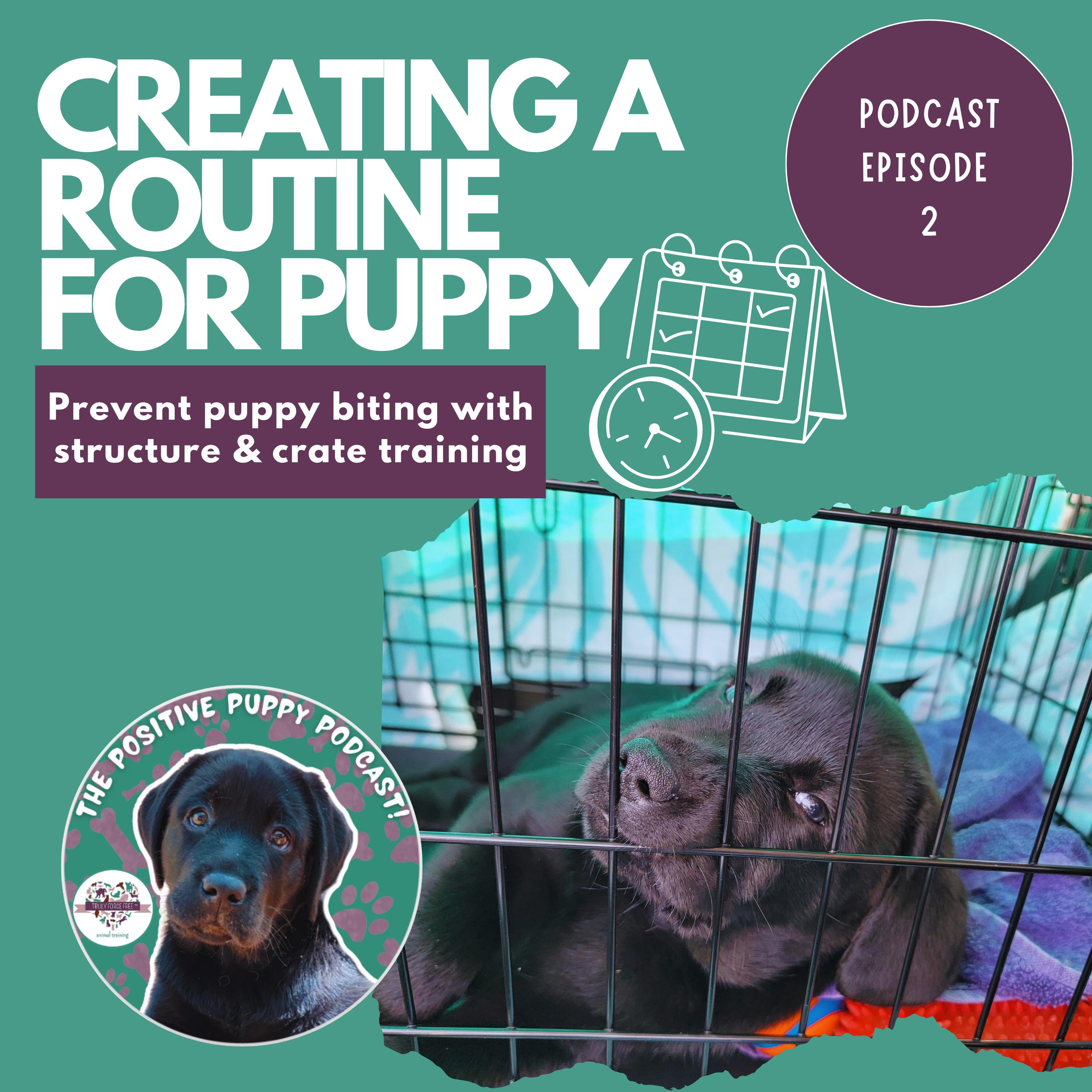 The Positive Puppy Podcast
