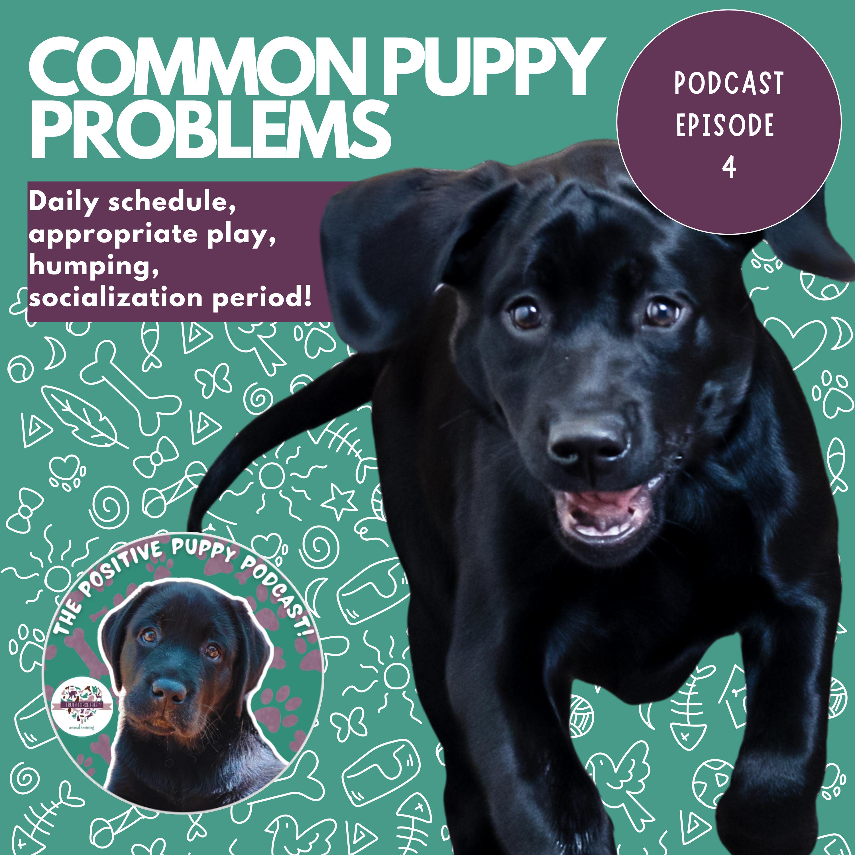 The Positive Puppy Podcast