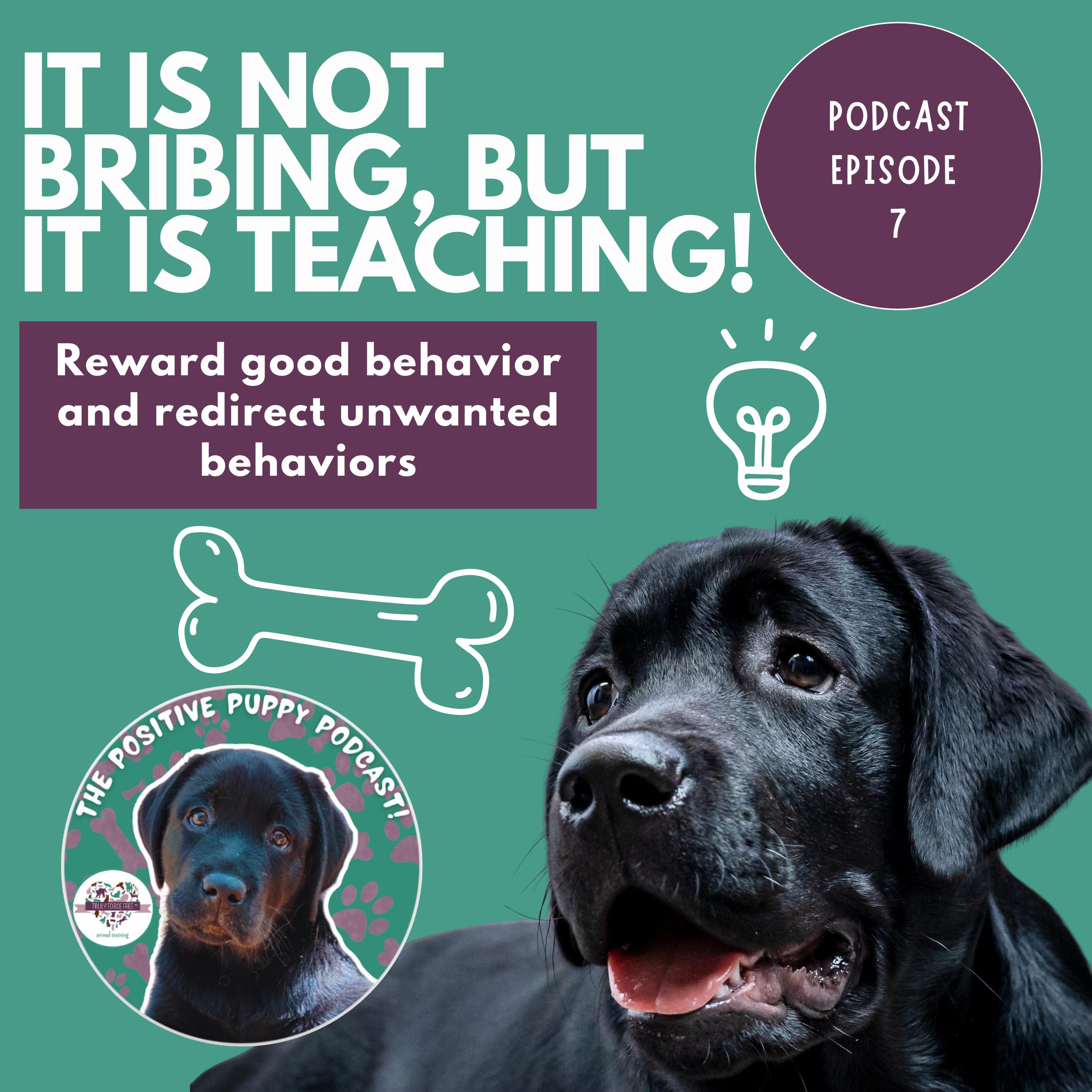 The Positive Puppy Podcast