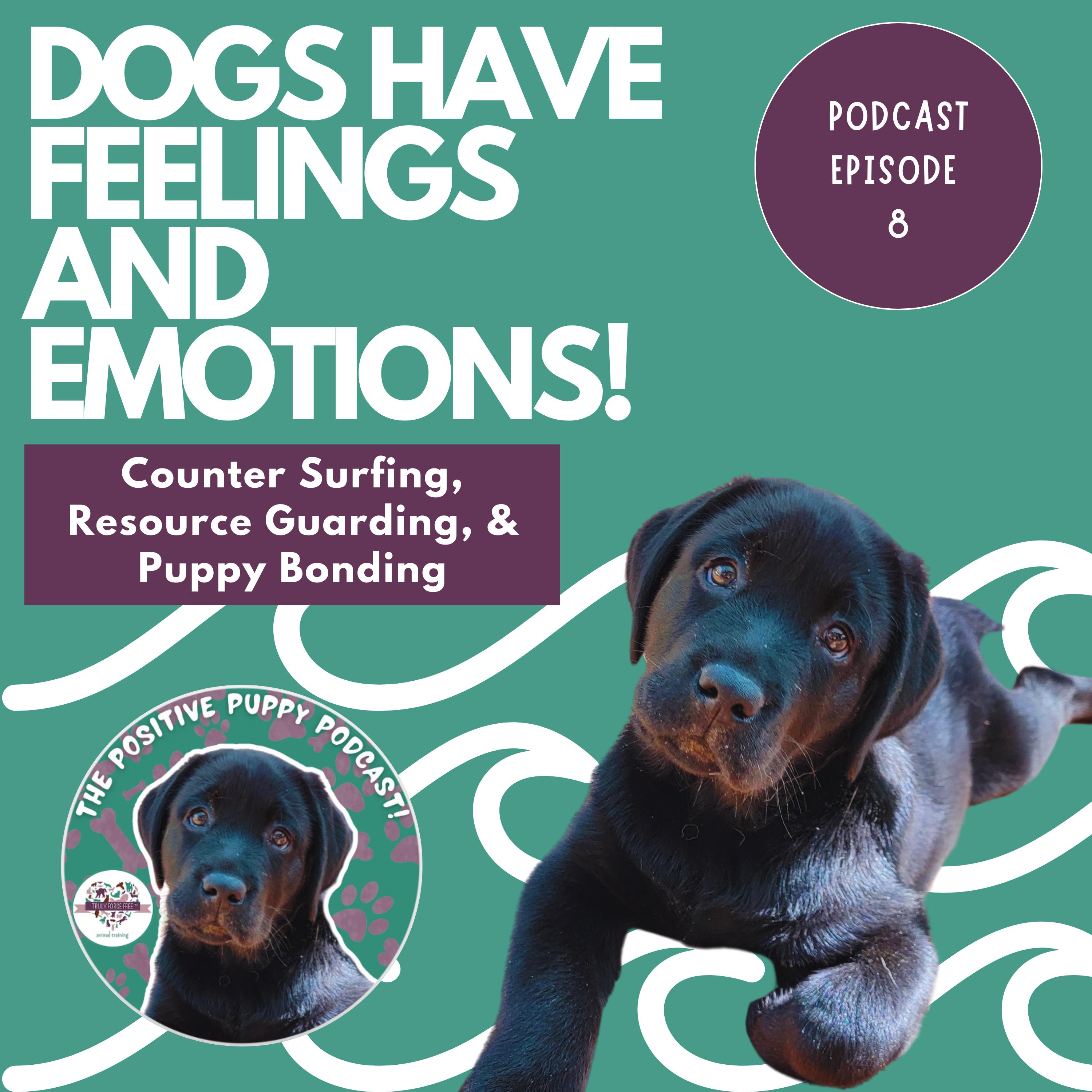 The Positive Puppy Podcast