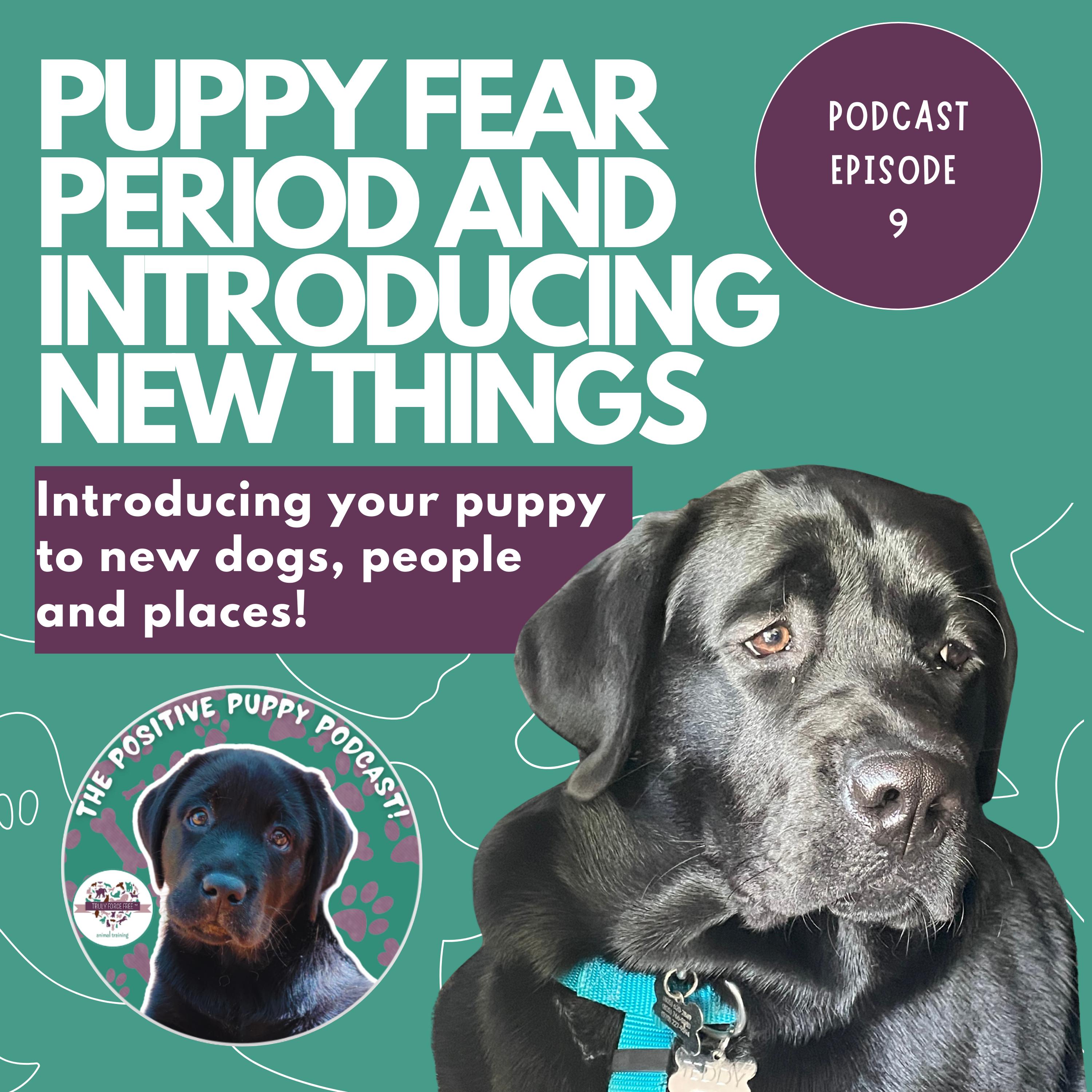 The Positive Puppy Podcast