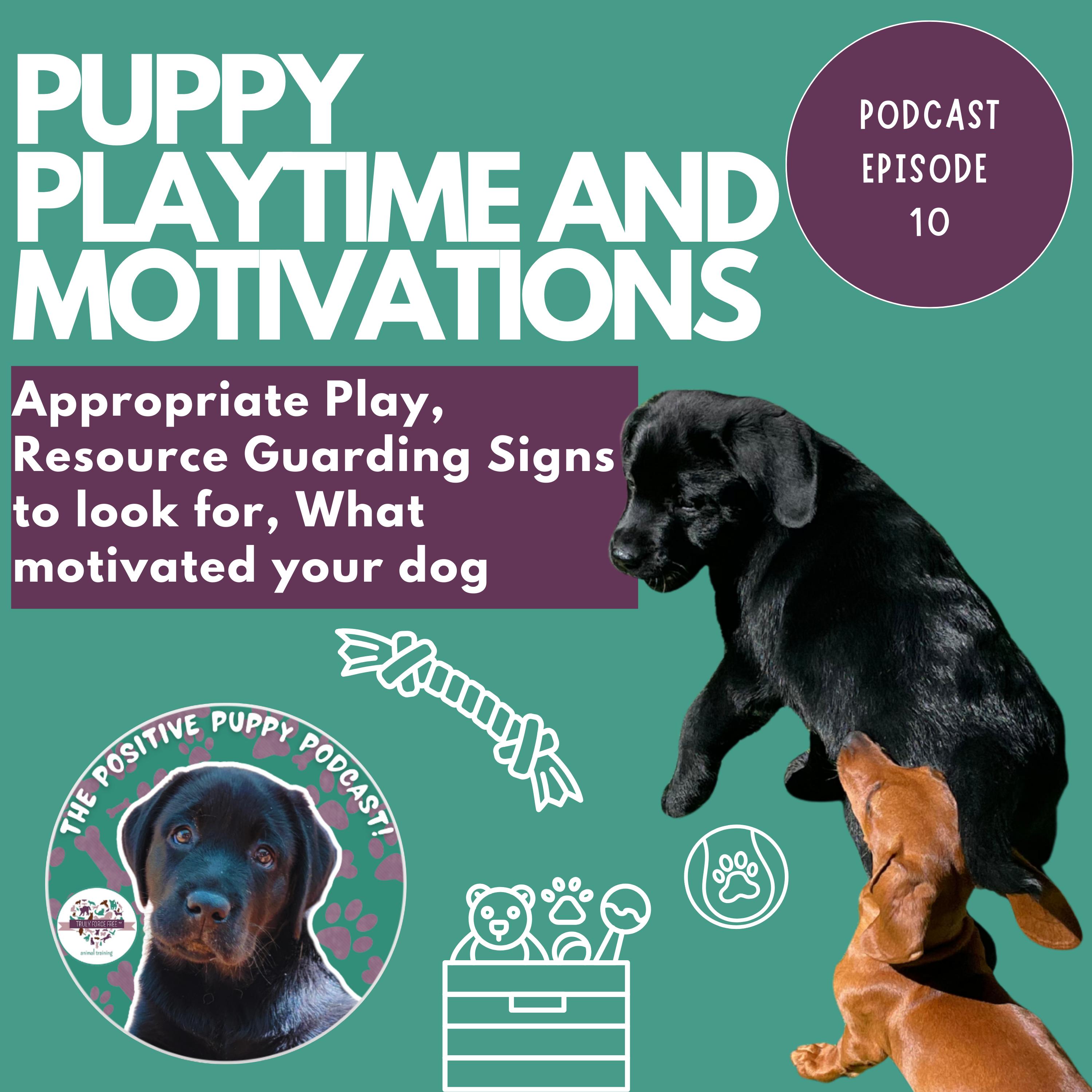 The Positive Puppy Podcast