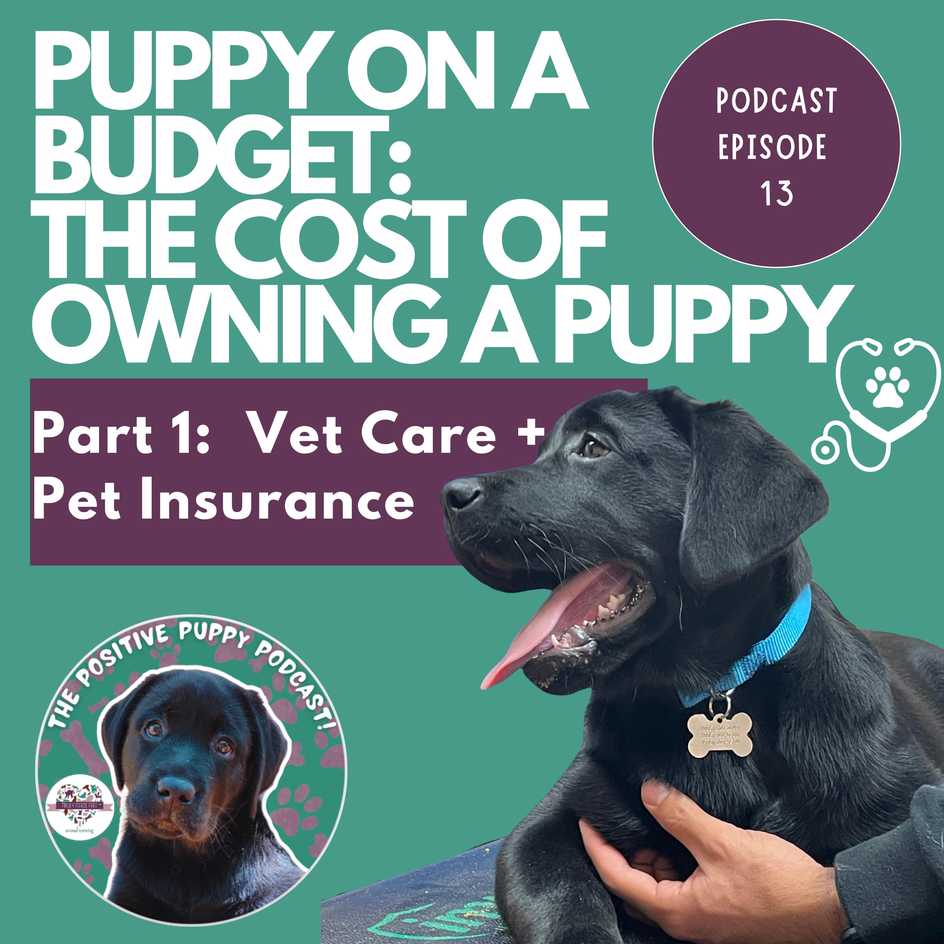 The Positive Puppy Podcast