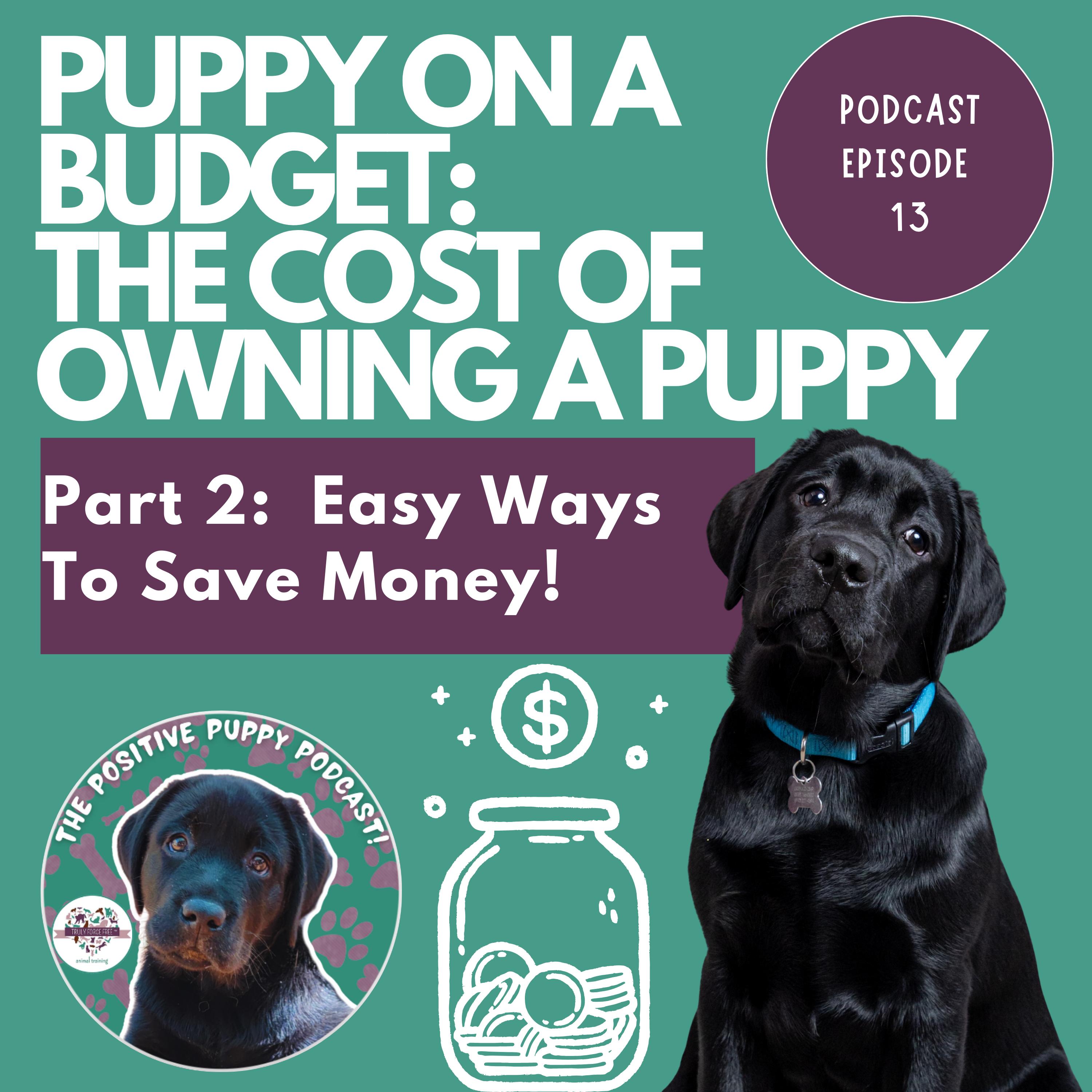The Positive Puppy Podcast