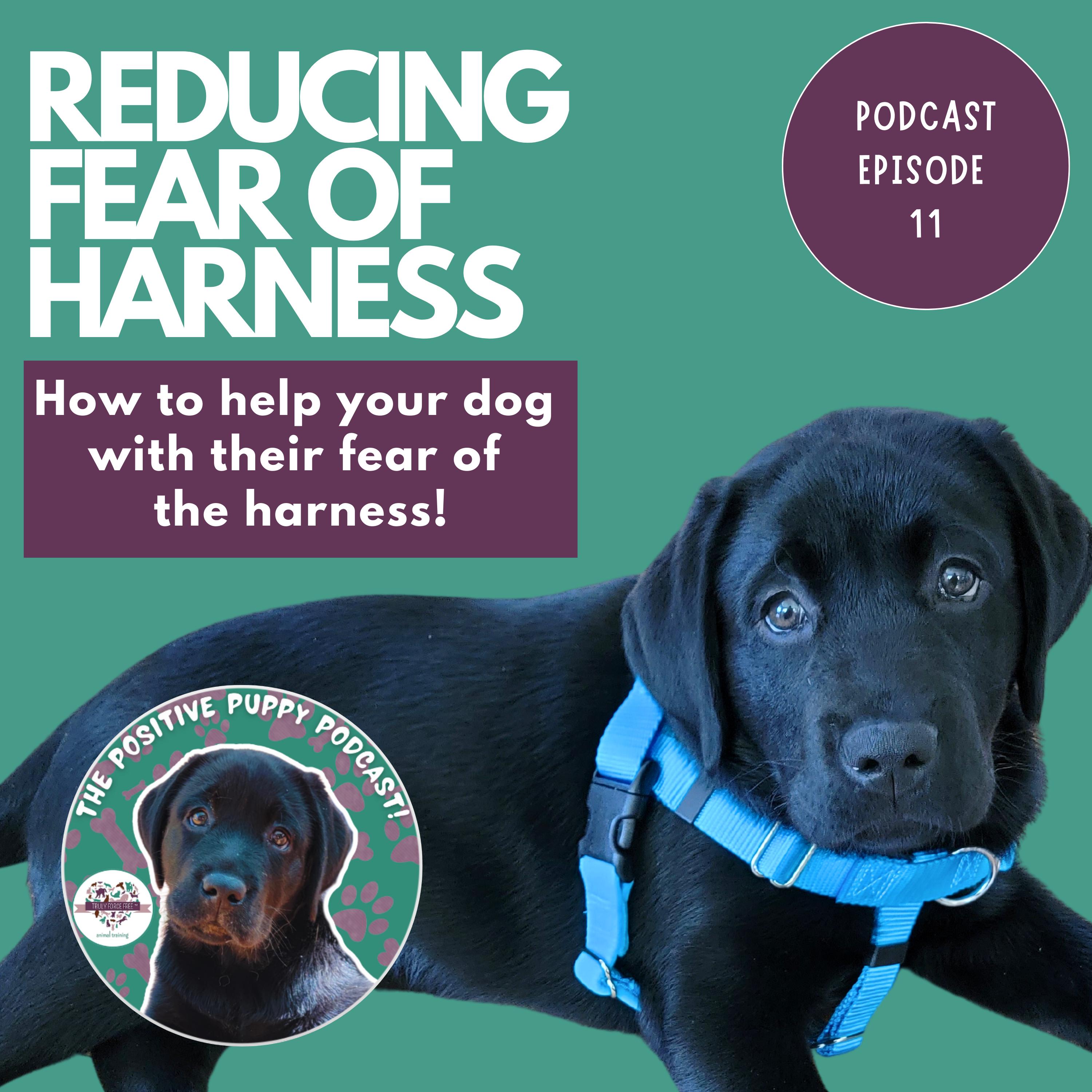 The Positive Puppy Podcast