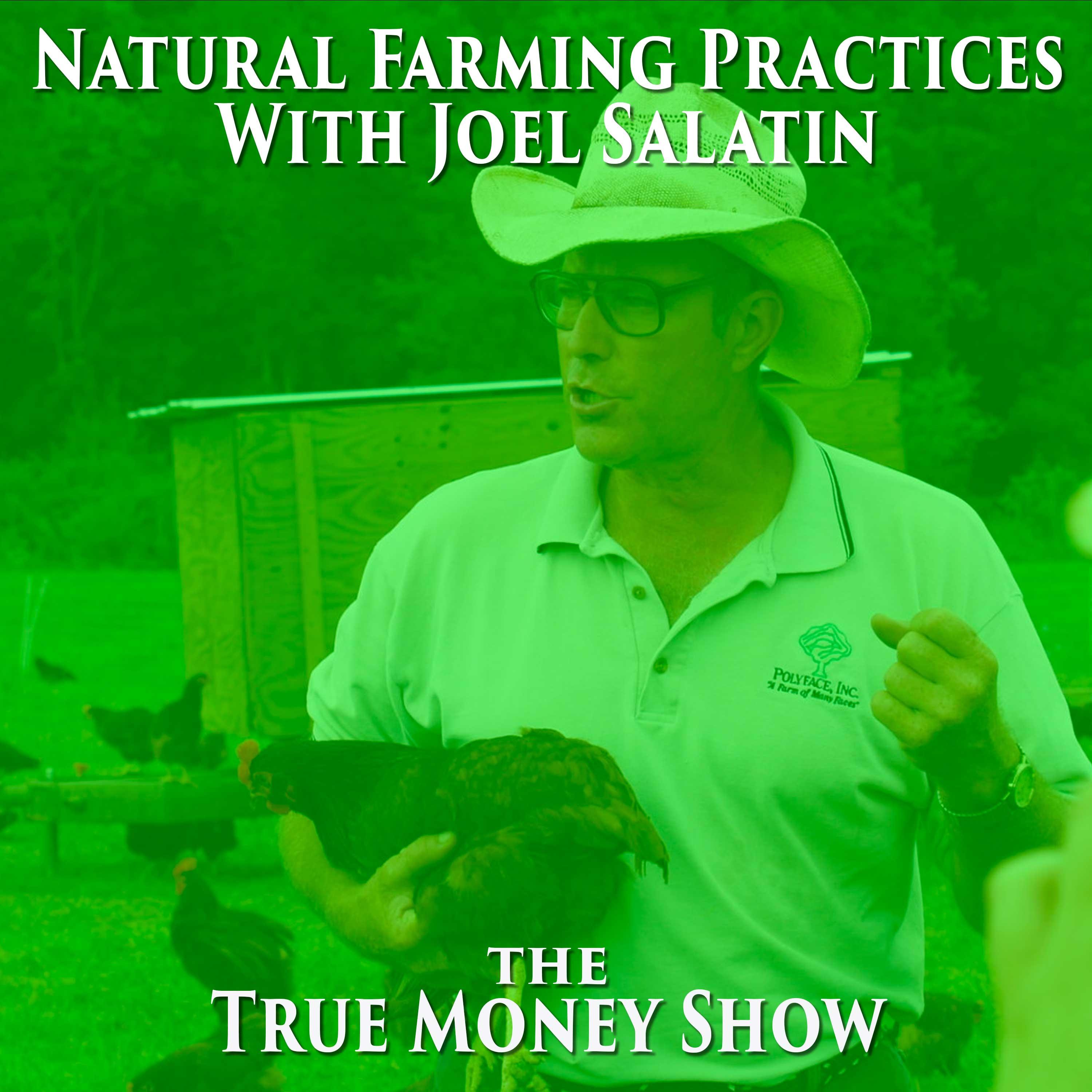 The True Money Show - Natural Farming Practices With Joel Salatin episode artwork
