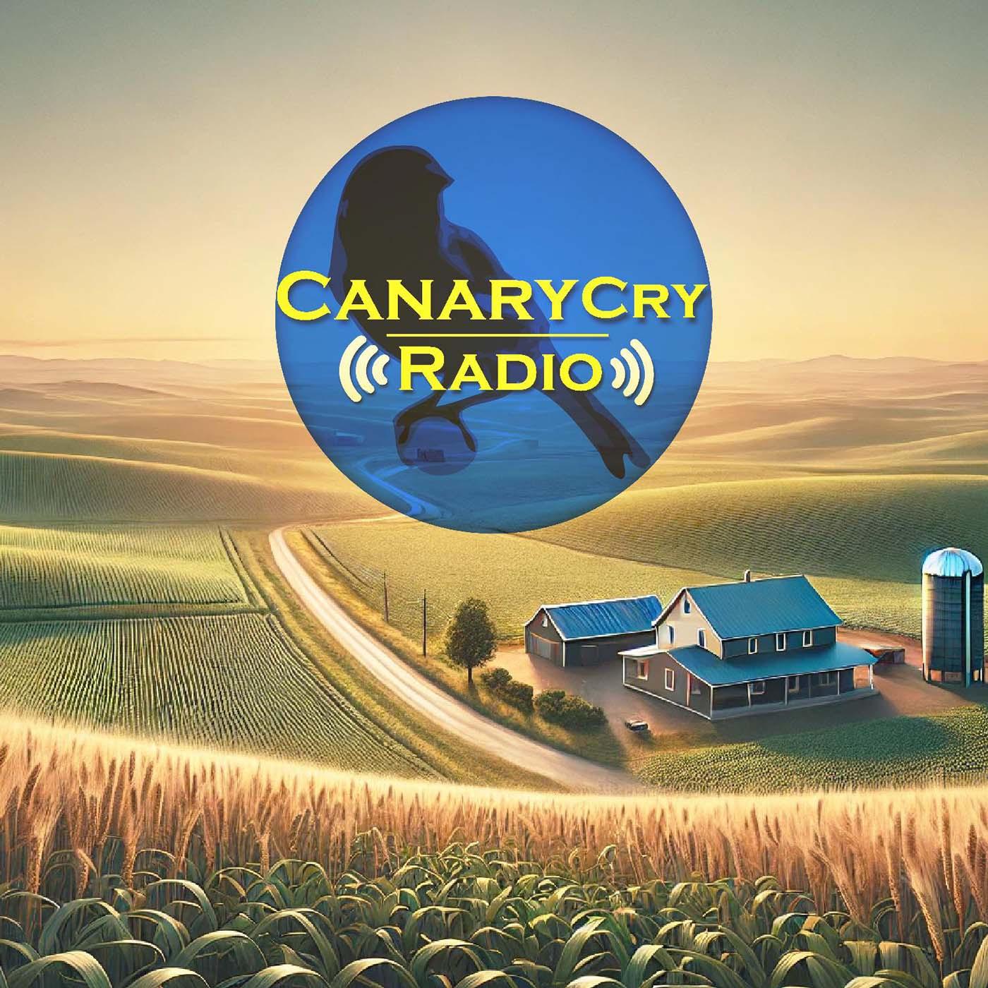 HOMESTEAD WITH NICOLE SAUCE | CCR 182