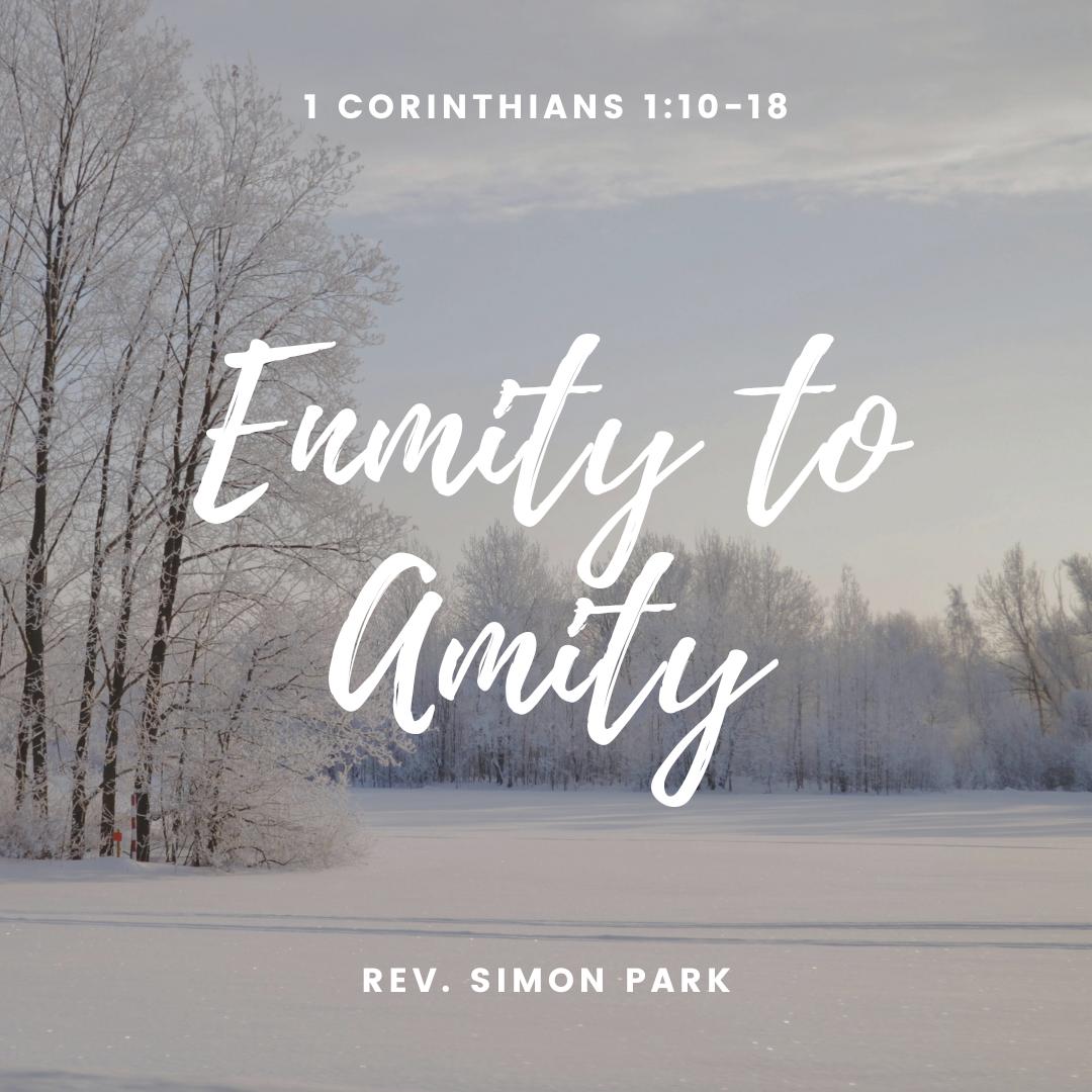 Enmity to Amity