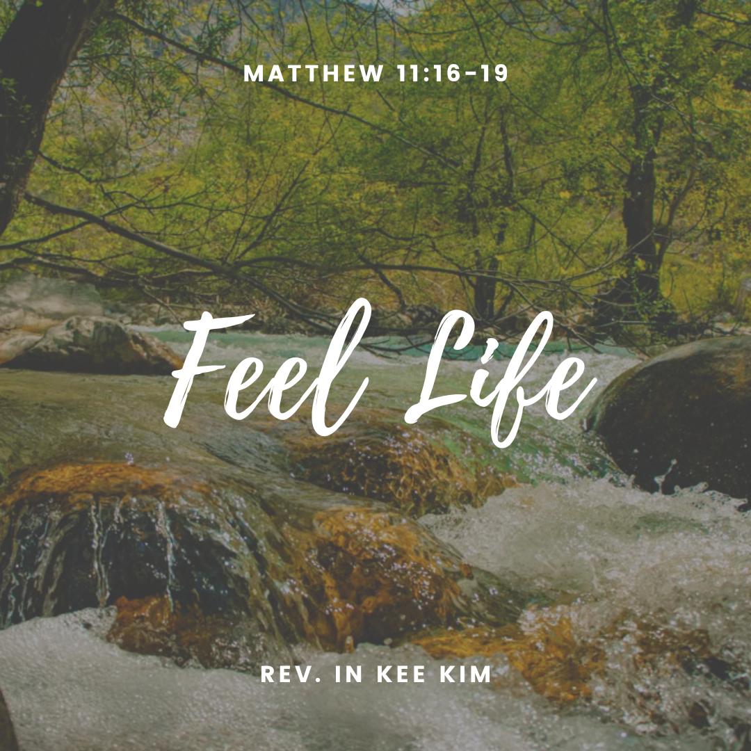 Feel Life episode artwork