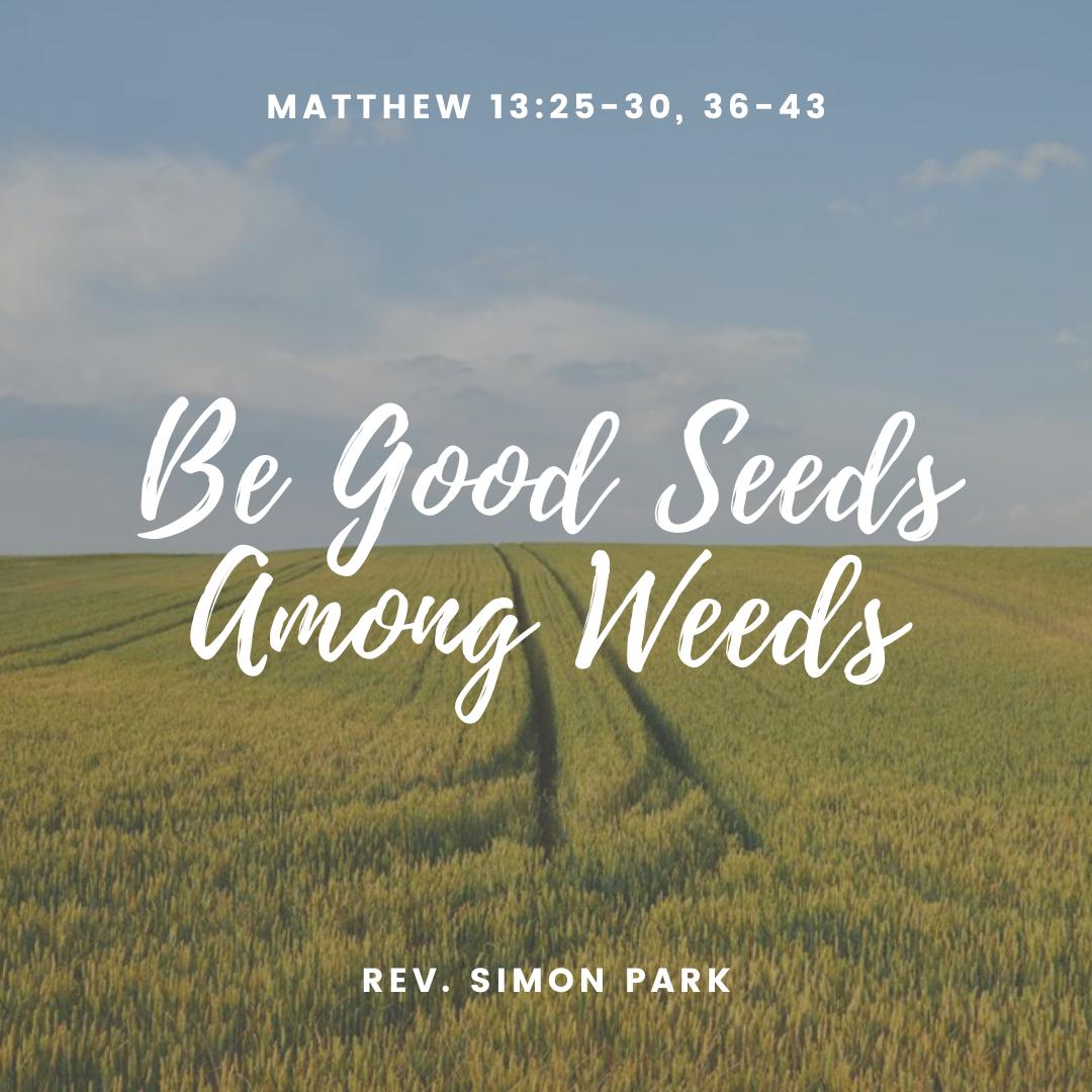 Be Good Seeds Among Weeds episode artwork