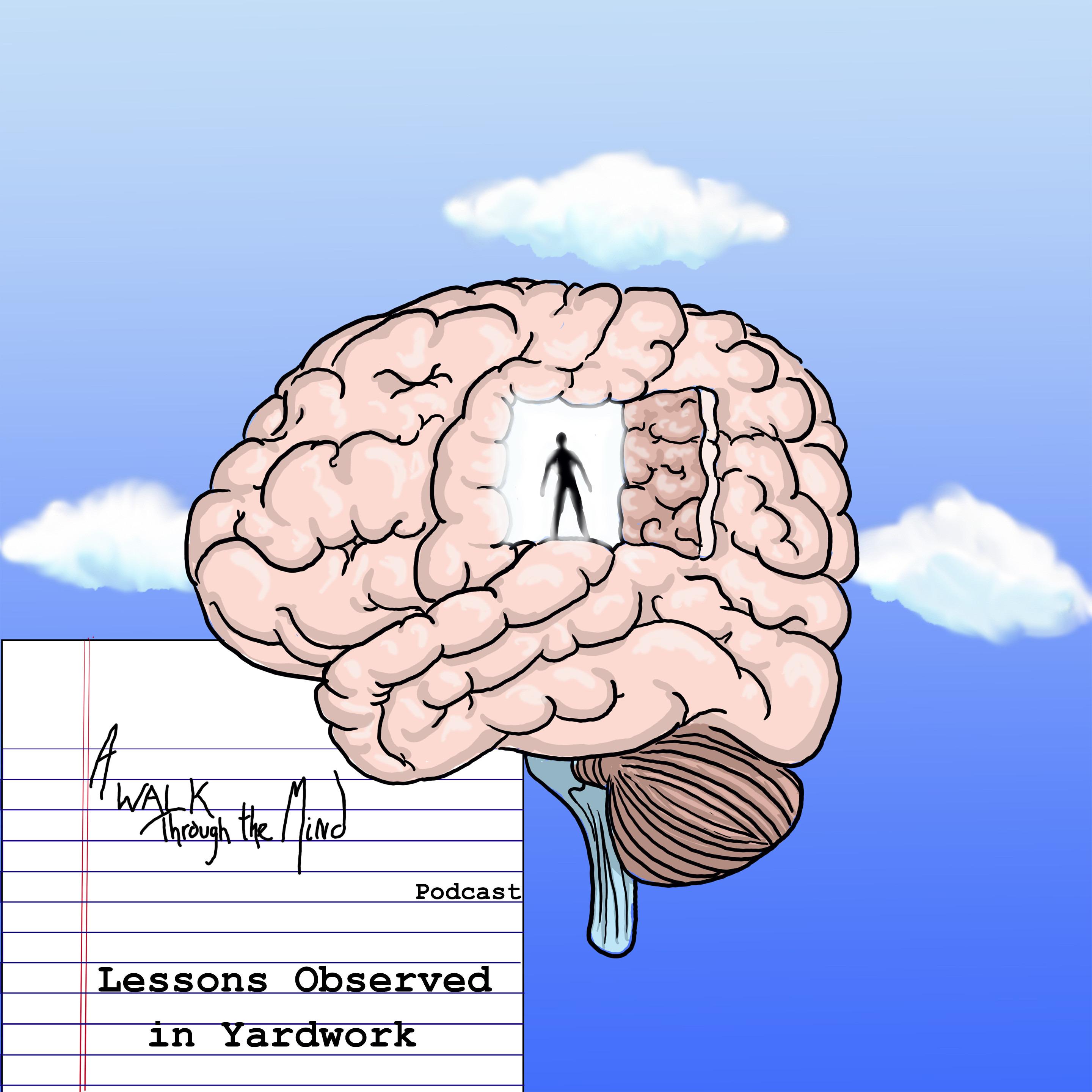 Lessons Observed in Yardwork