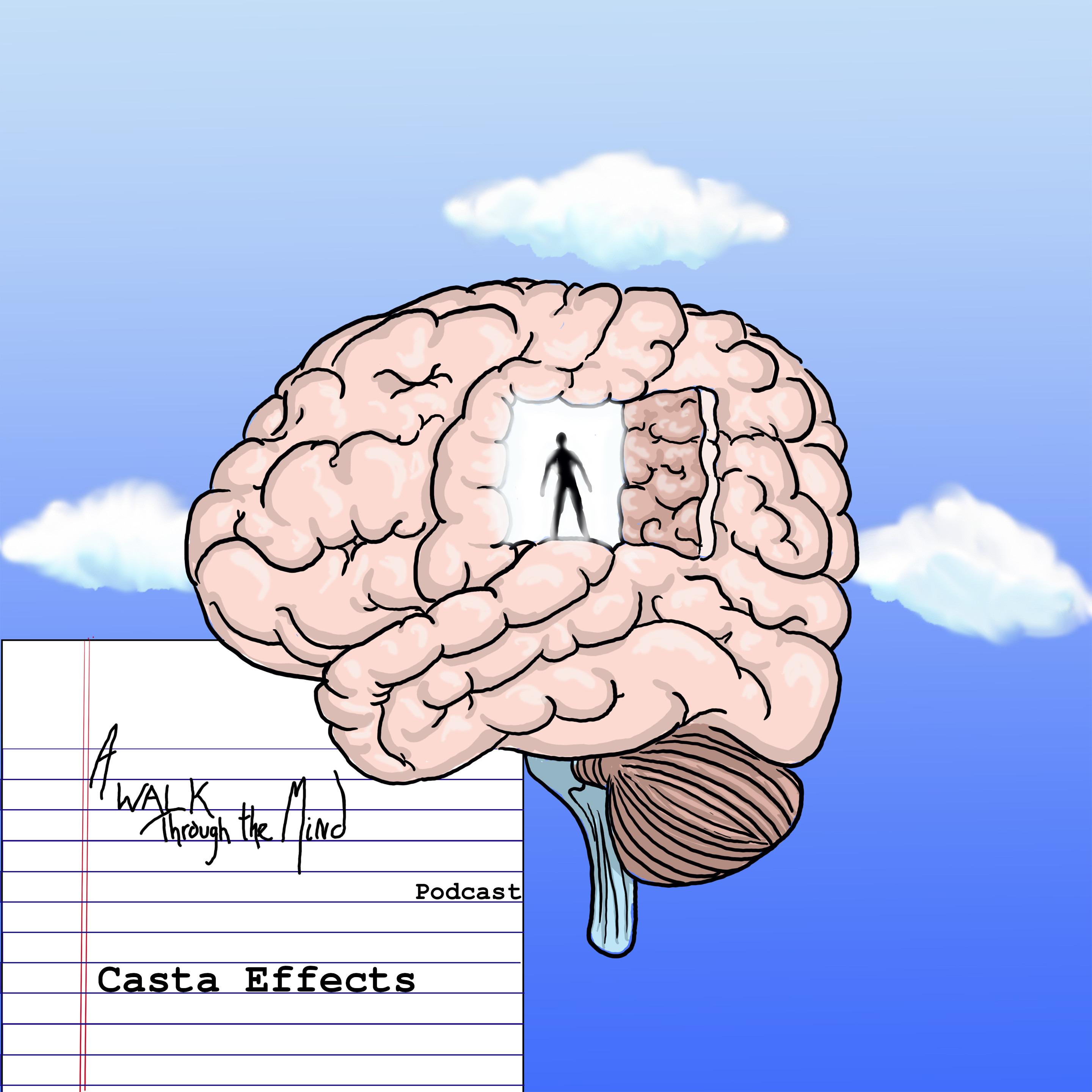 Casta Effects