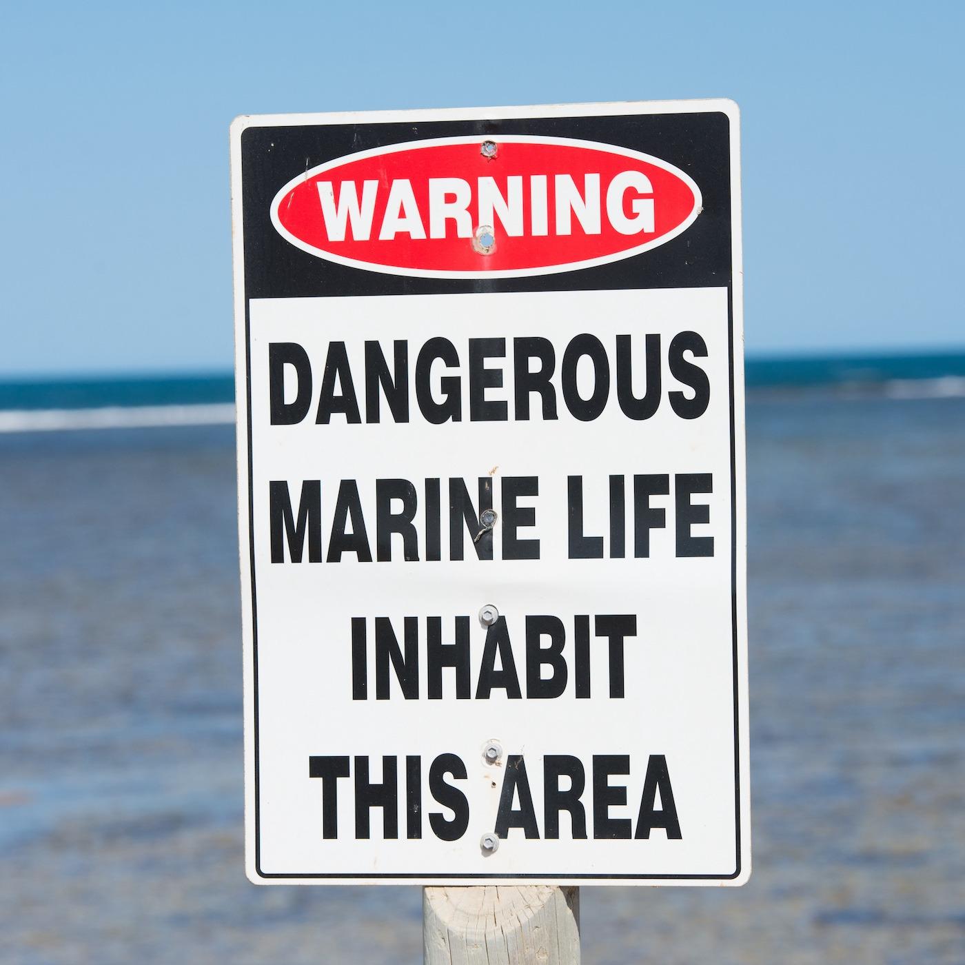 Common Marine Life Injuries and Envenomations Common Marine Life Injuries and Envenomations