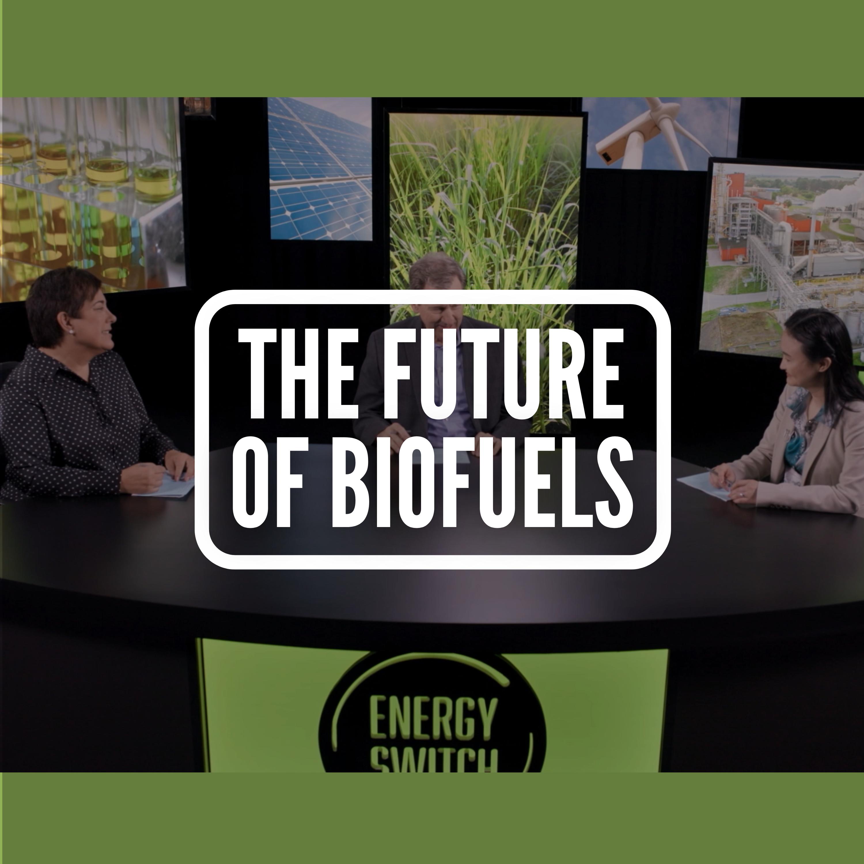 The Future of Biofuels