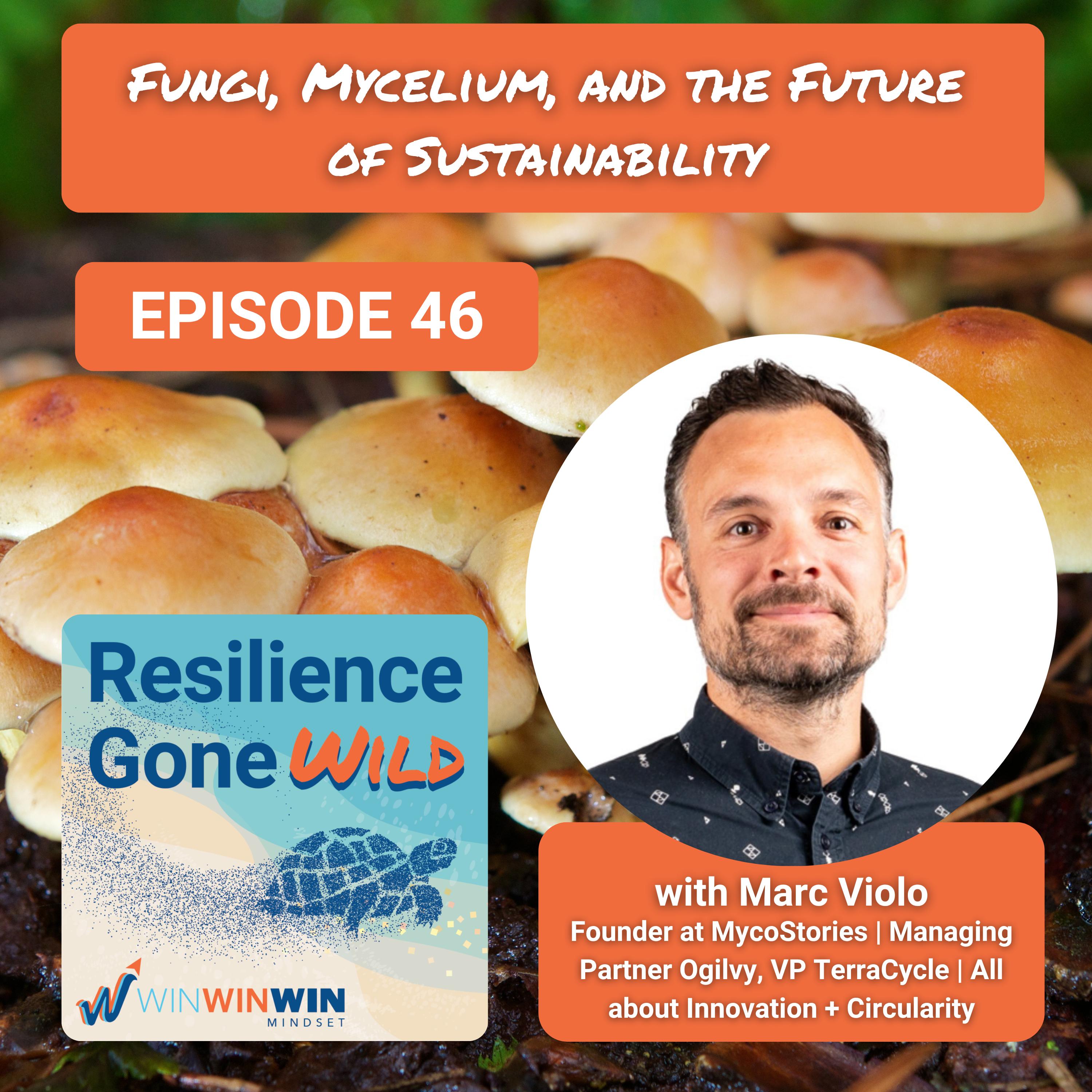 Resilience Gone Wild (WinWinWin Mindset)