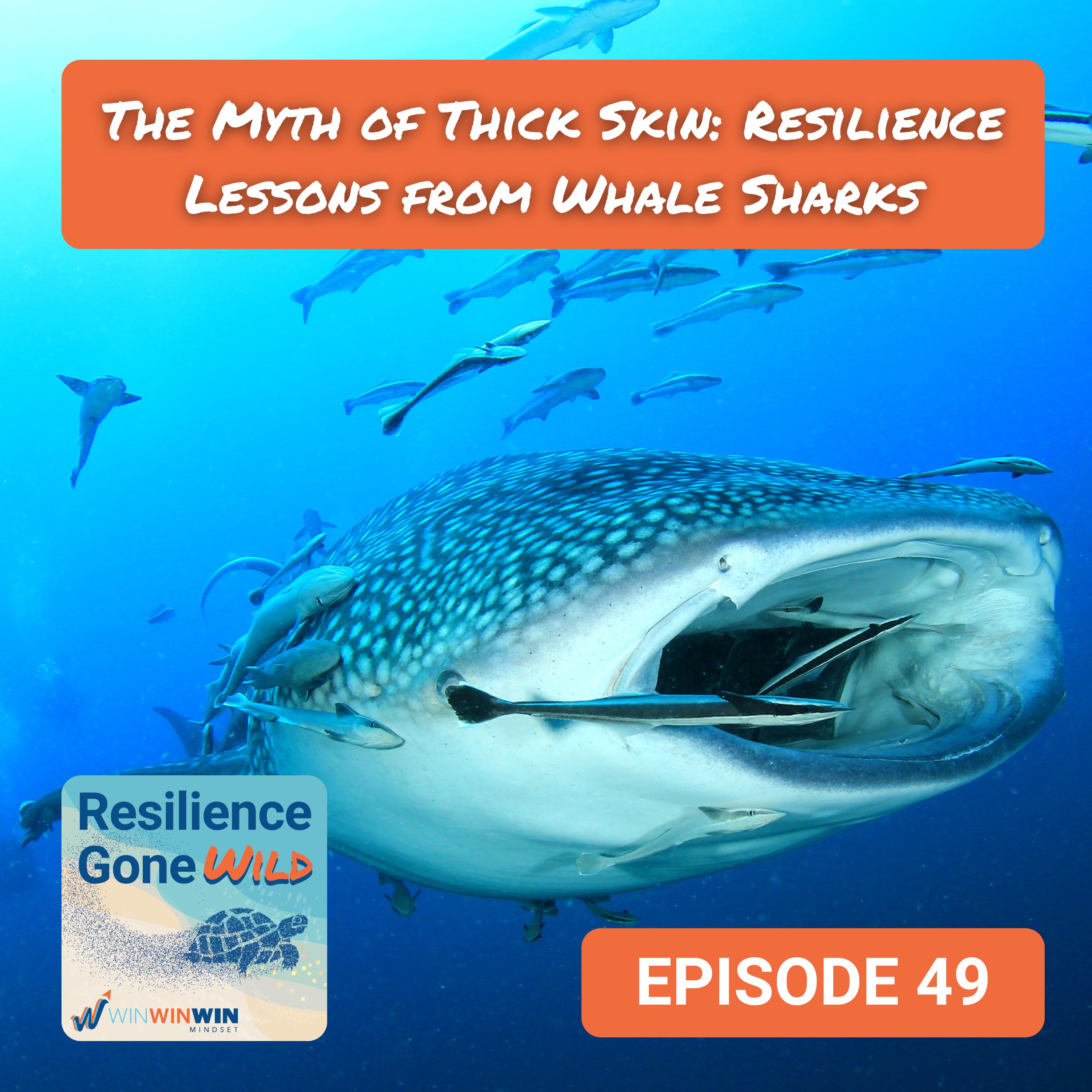 Resilience Gone Wild (WinWinWin Mindset)