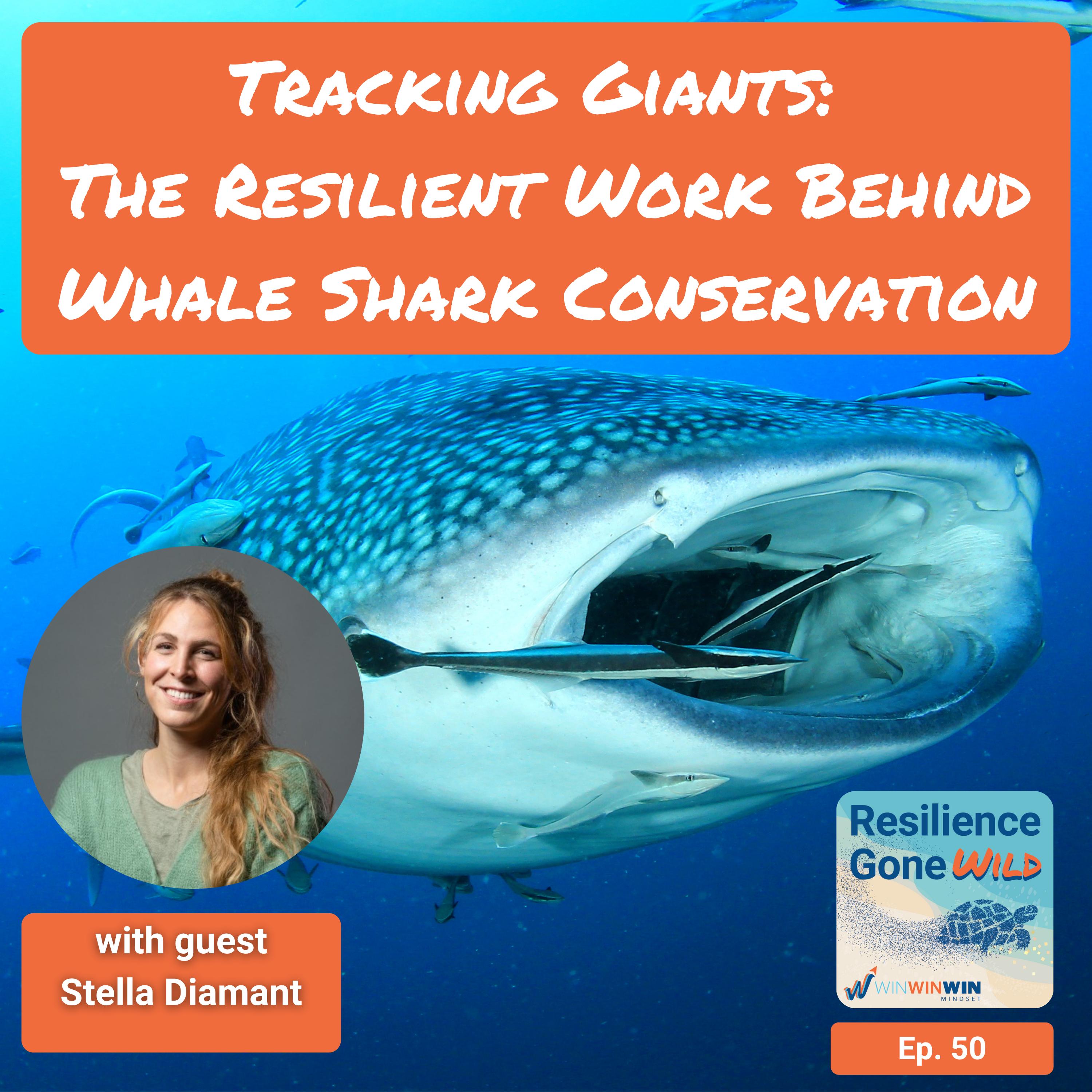 Resilience Gone Wild (WinWinWin Mindset)