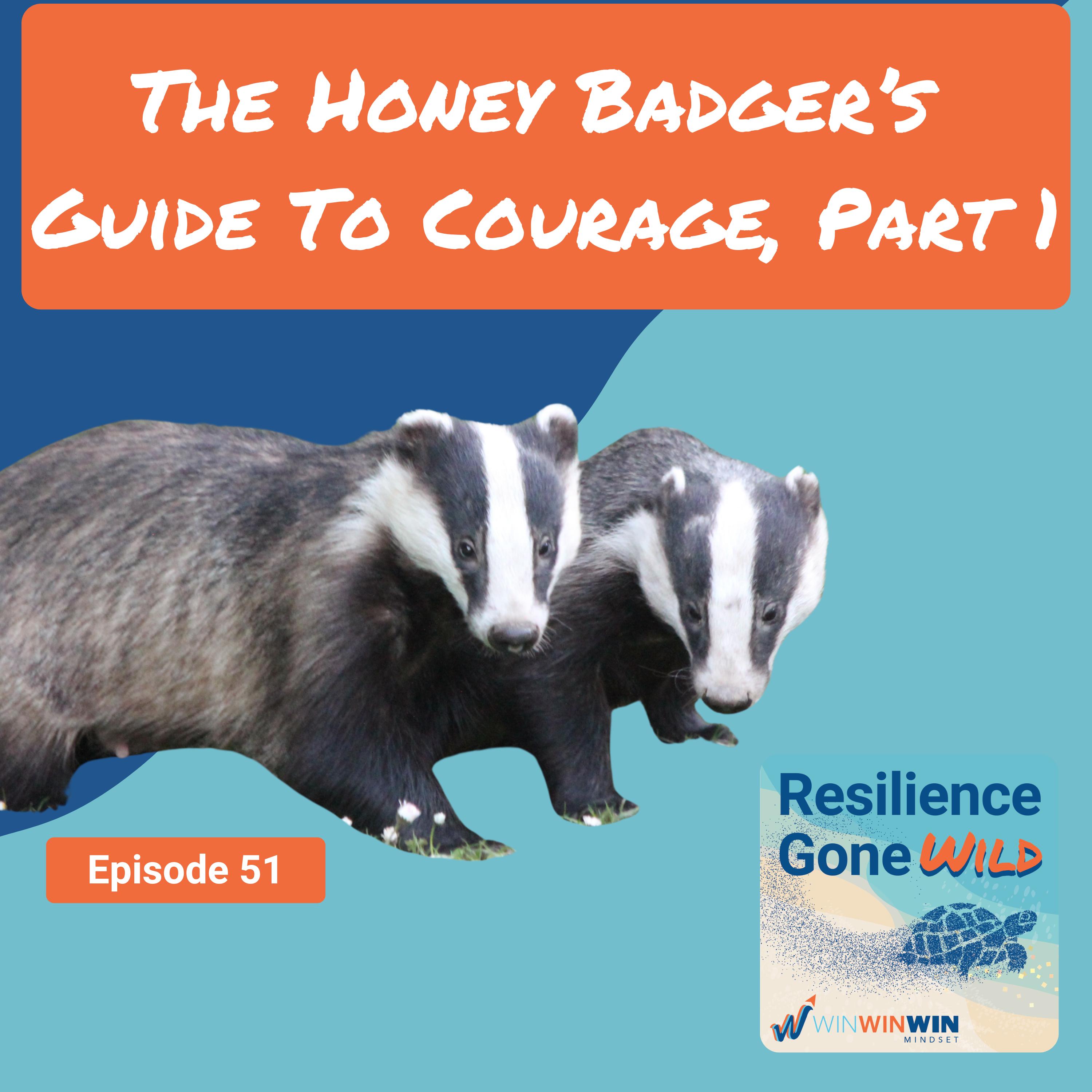 Resilience Gone Wild (WinWinWin Mindset)