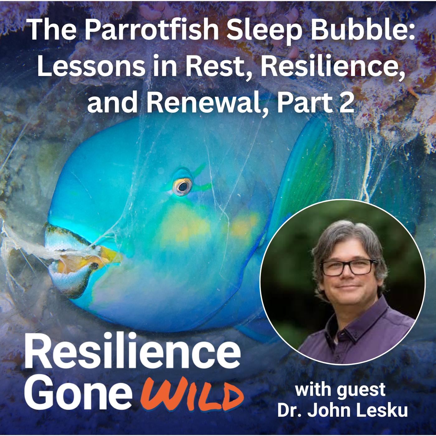 Resilience Gone Wild (WinWinWin Mindset)