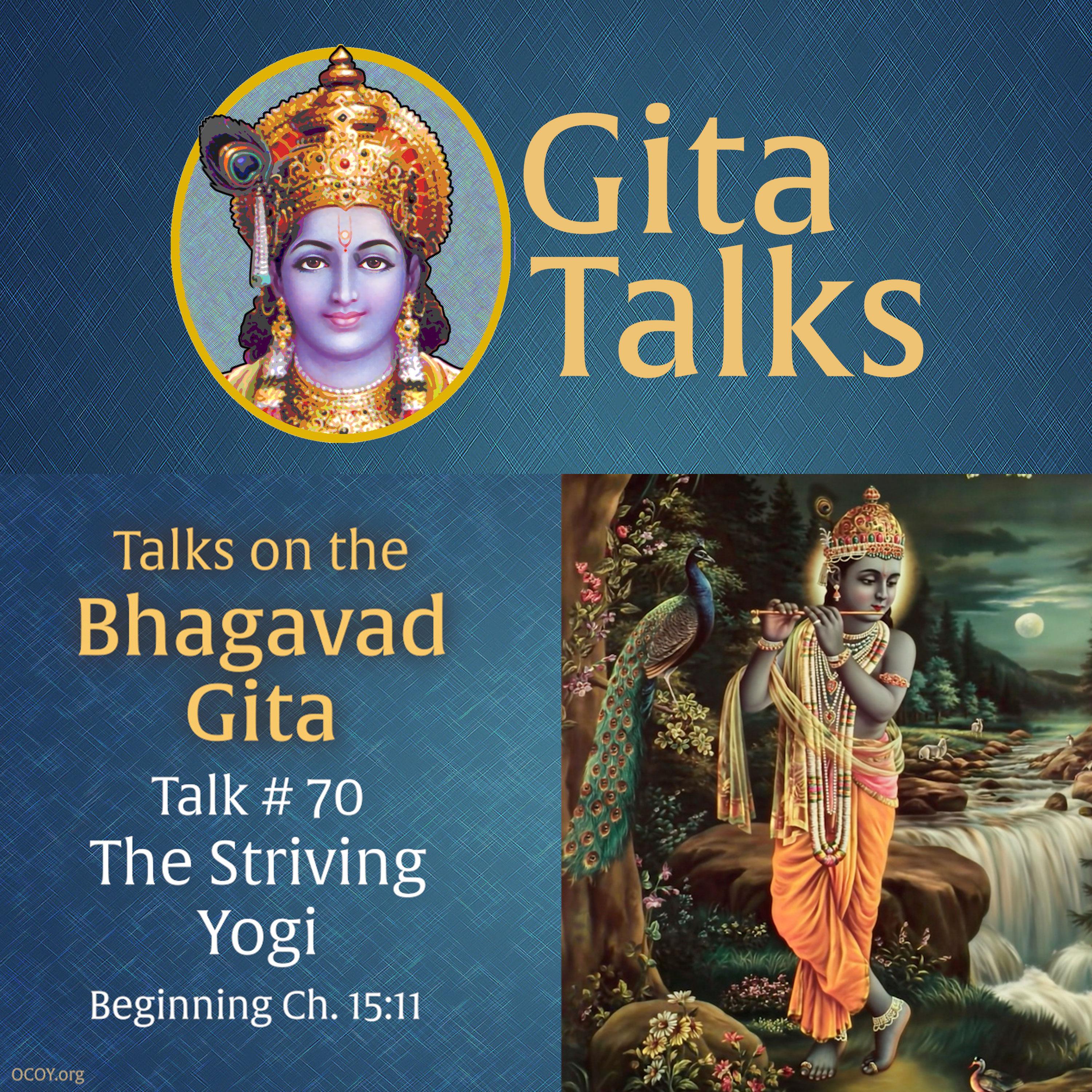 Gita Talk 70–The Striving Yogi
