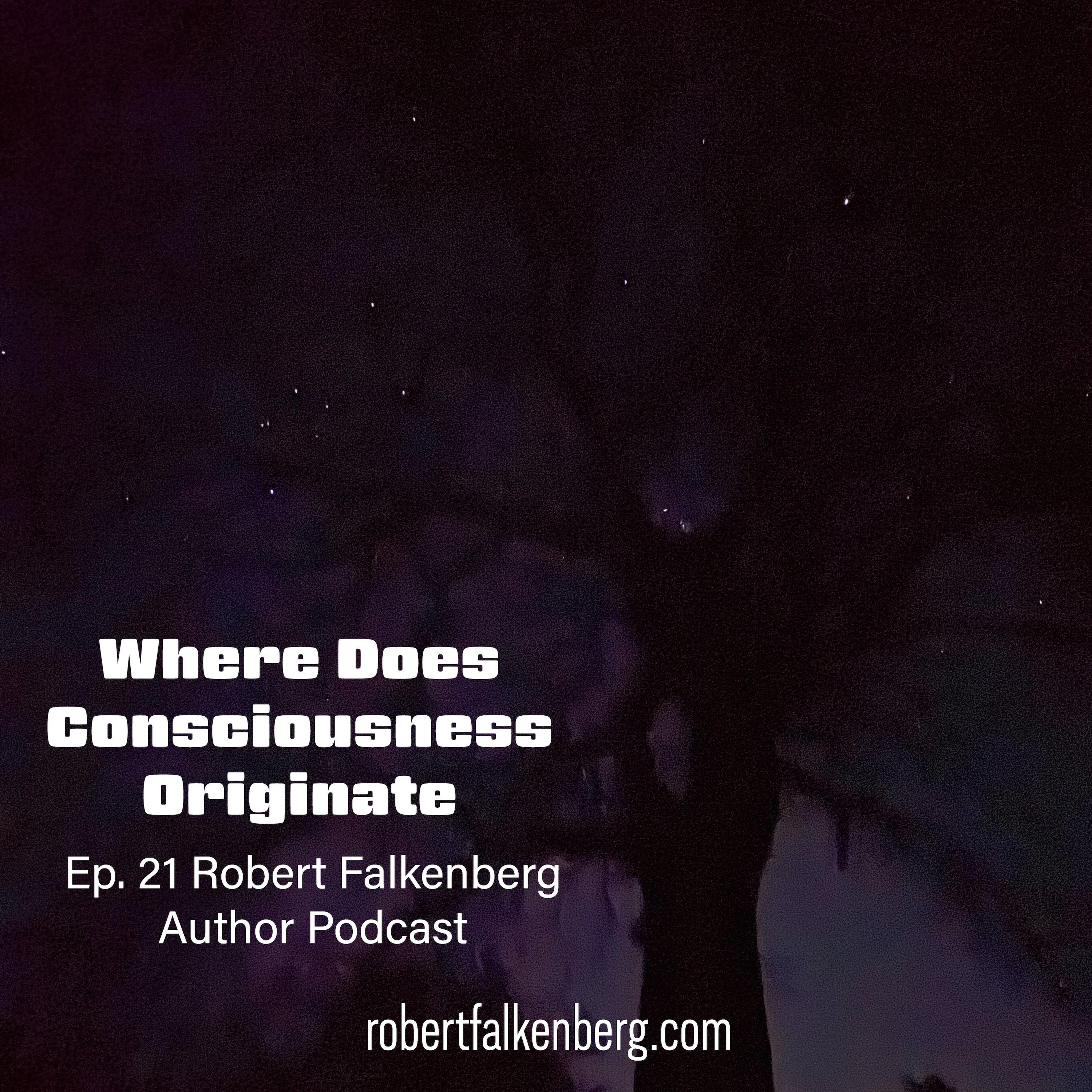 Where Does Consciousness Originate Ep. 21 episode artwork