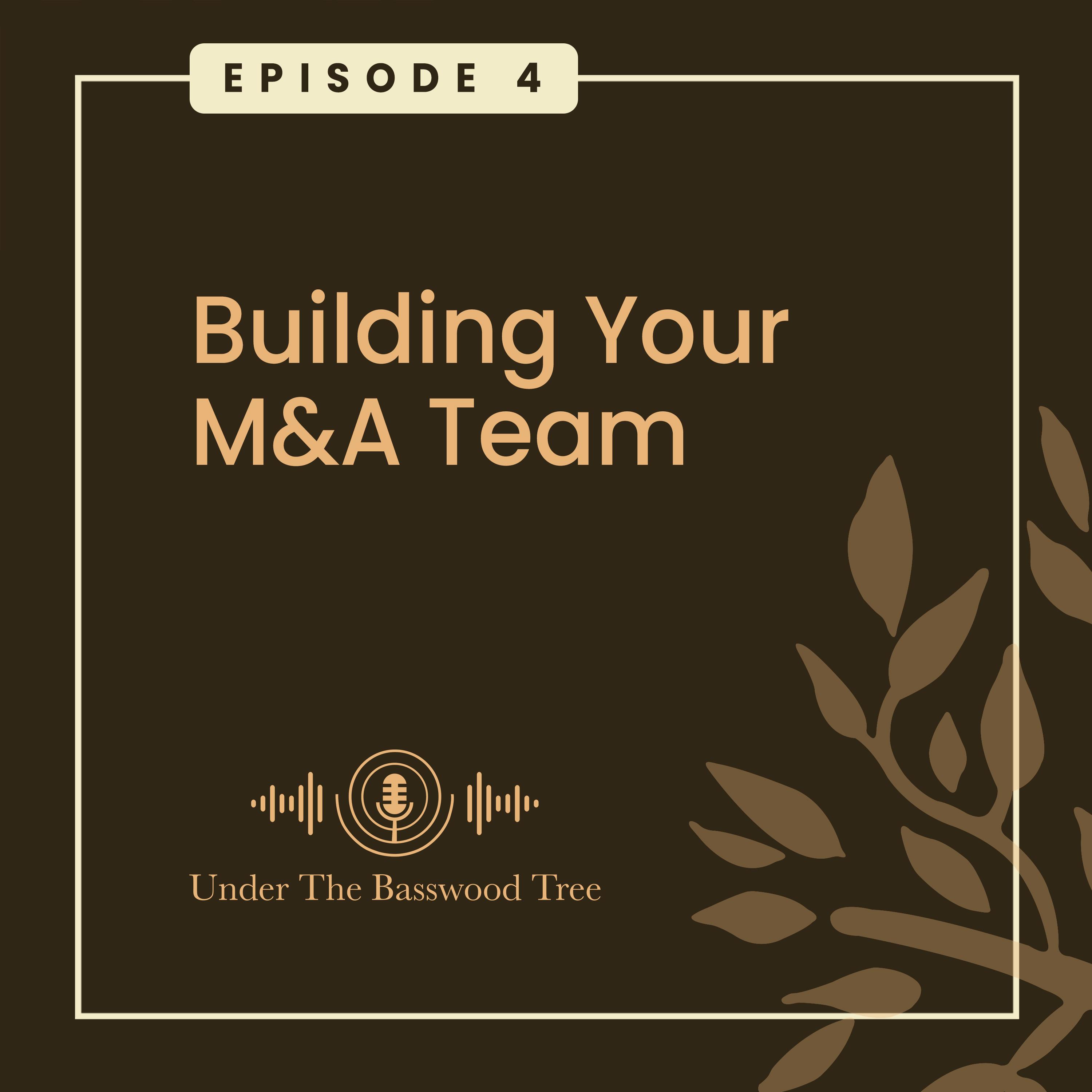 Building Your M&A Team episode artwork