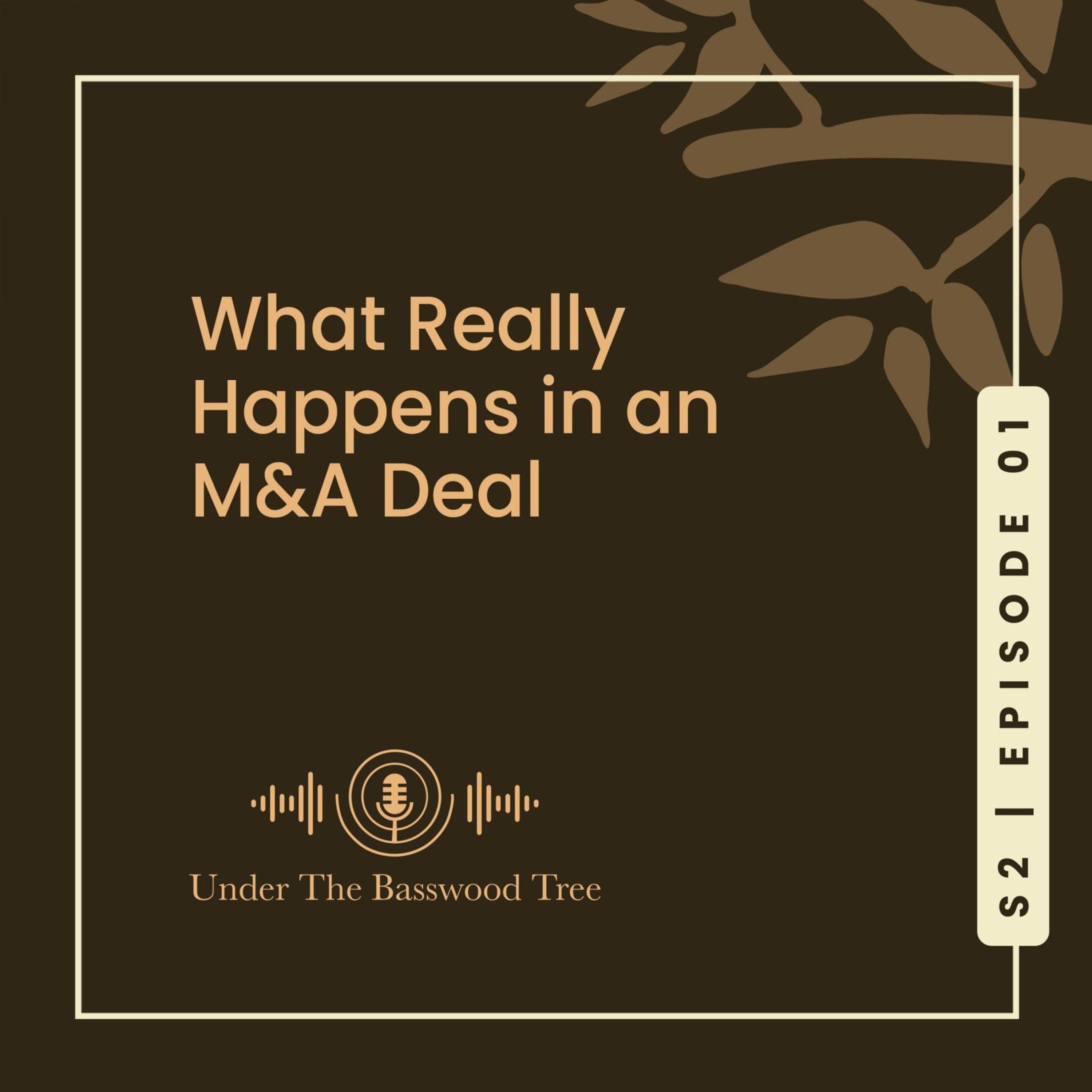 S2 Ep. 1: What Really Happens in an M&A Deal. episode artwork