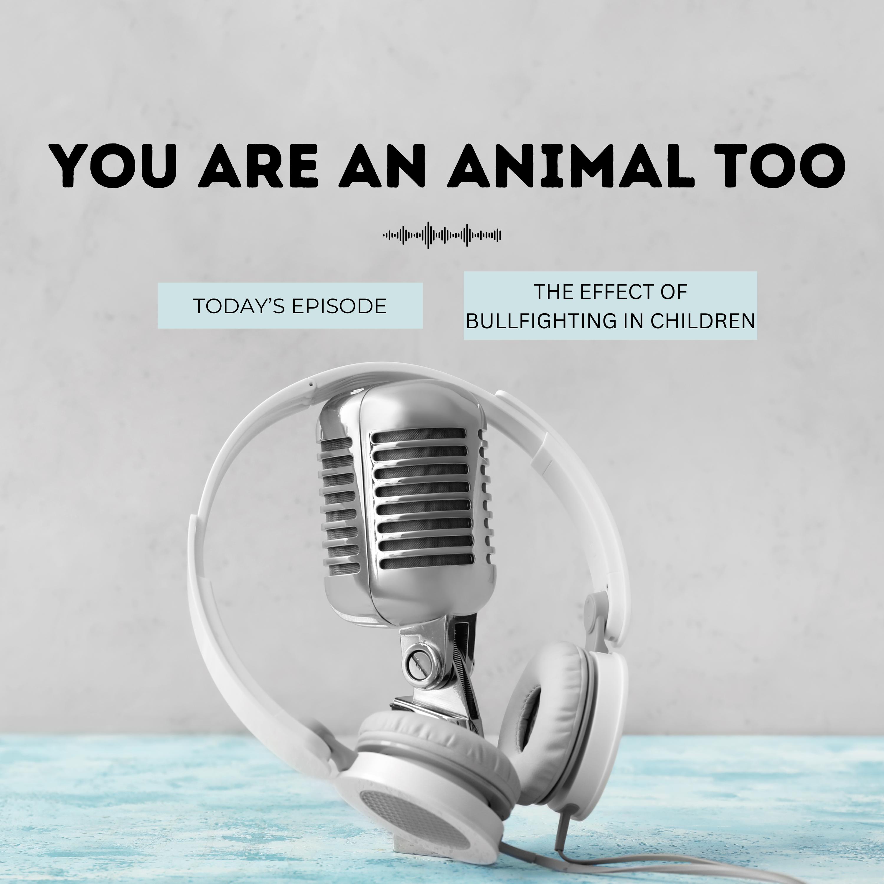 Bullfighting's Impact on Children episode artwork