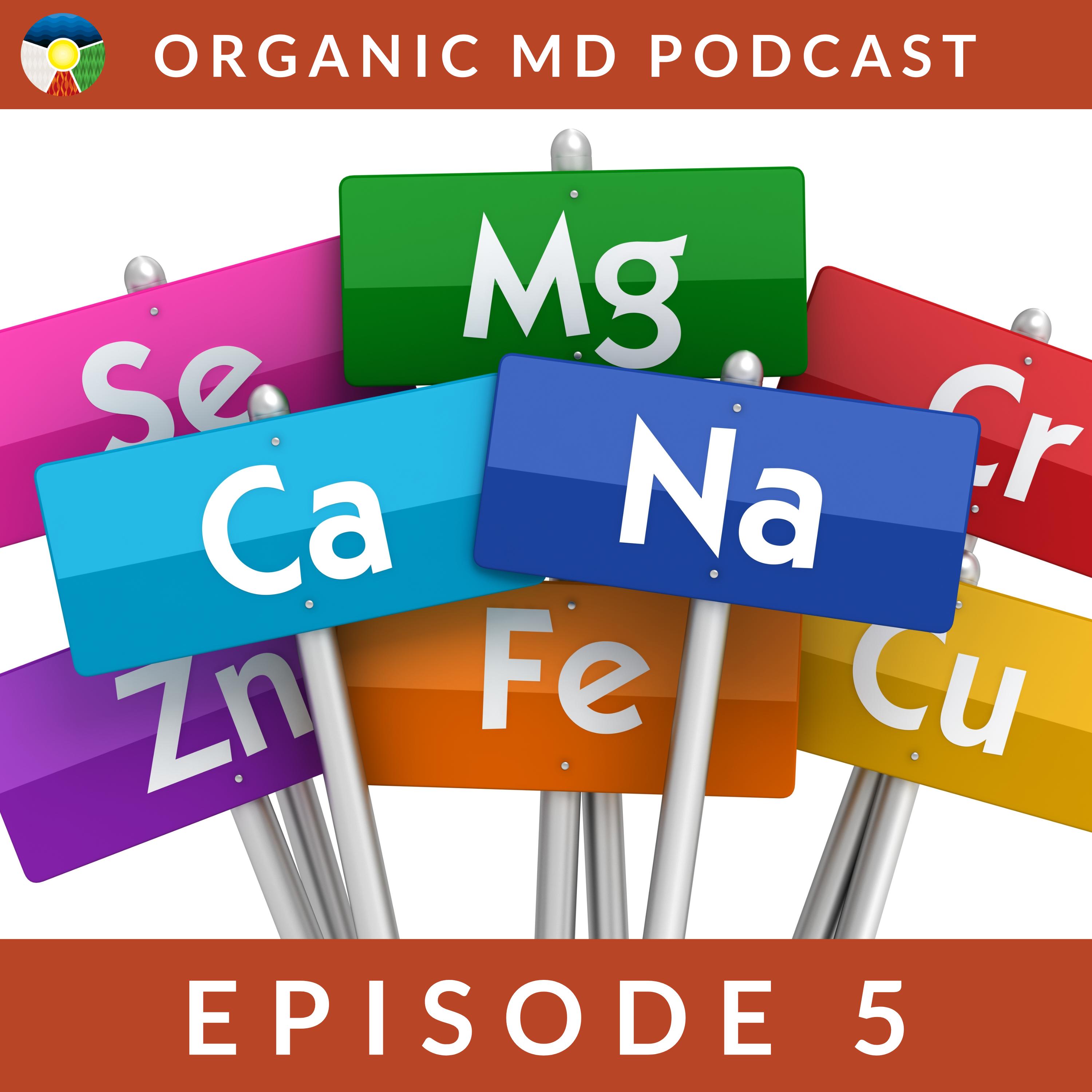 Understanding the Trace Minerals We Use – BEH Podcast