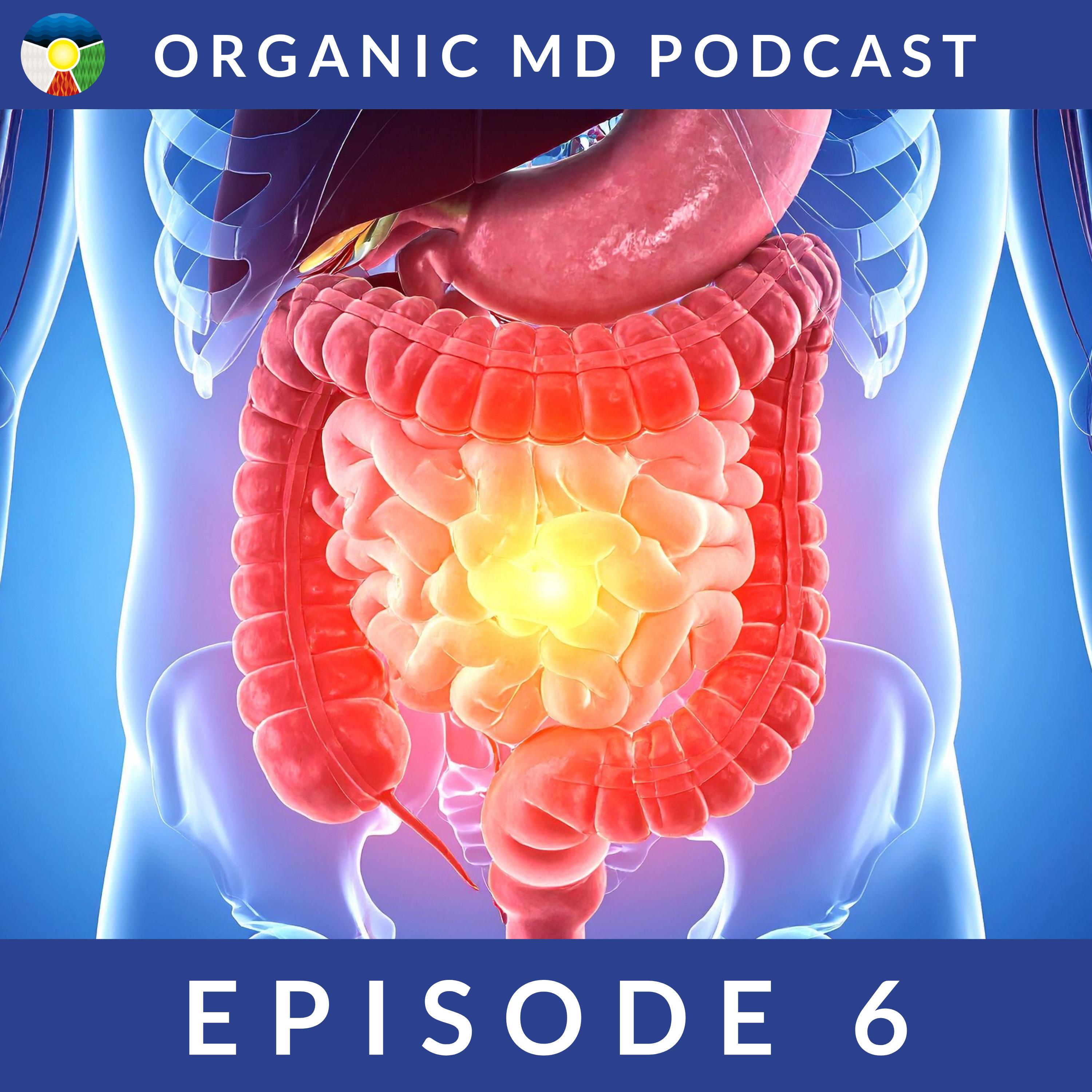 Healthy Digestion and Using Supplements