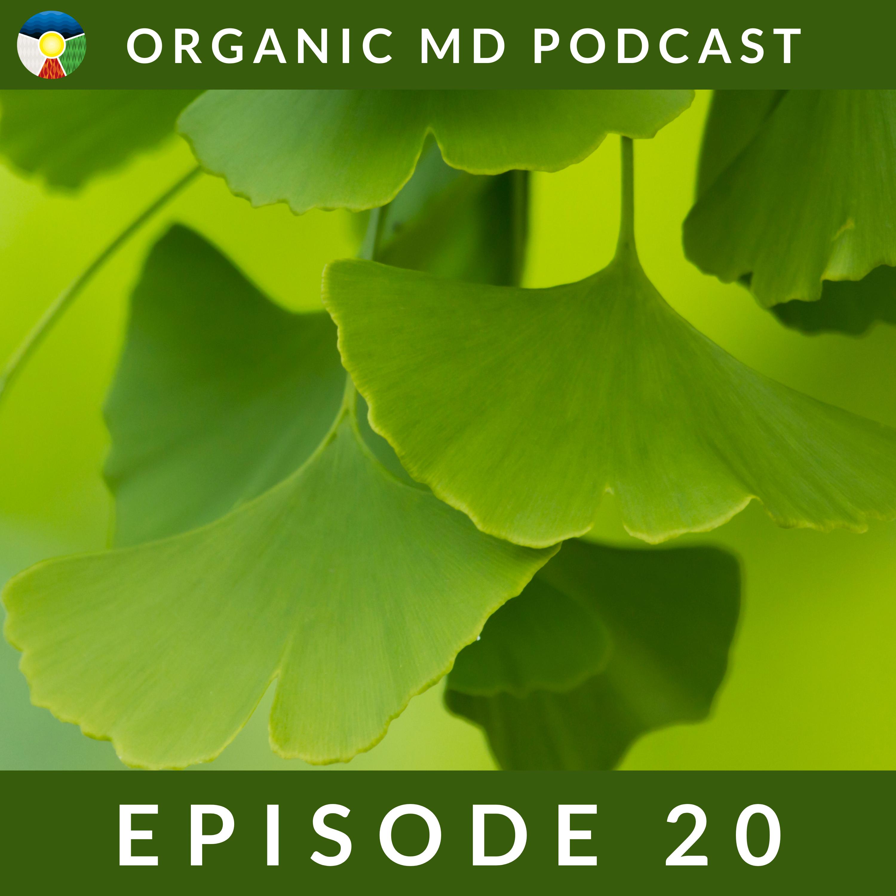 Using Gingko Biloba for Eye Improvement