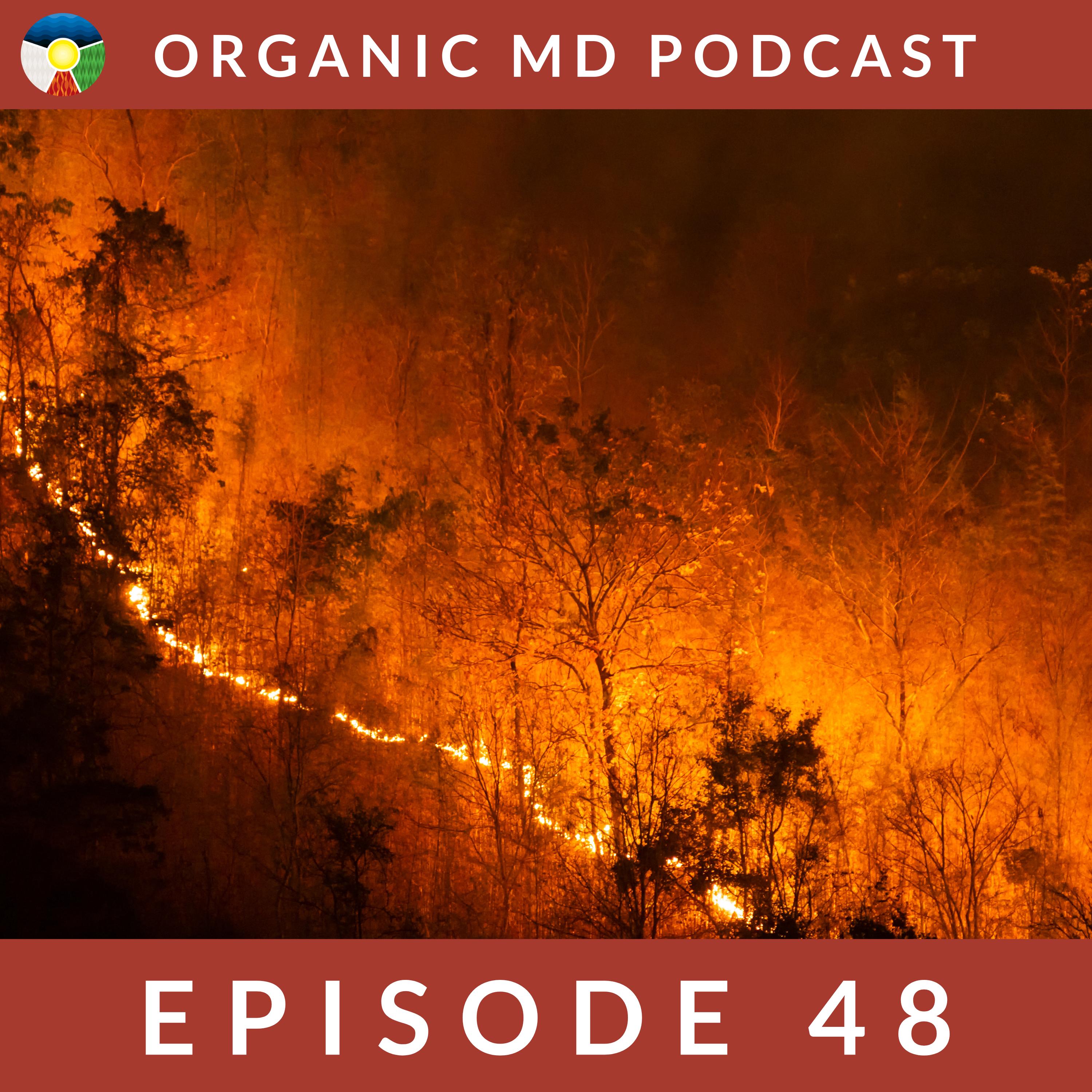 Healing From the Toxic Wildfire Smoke episode artwork