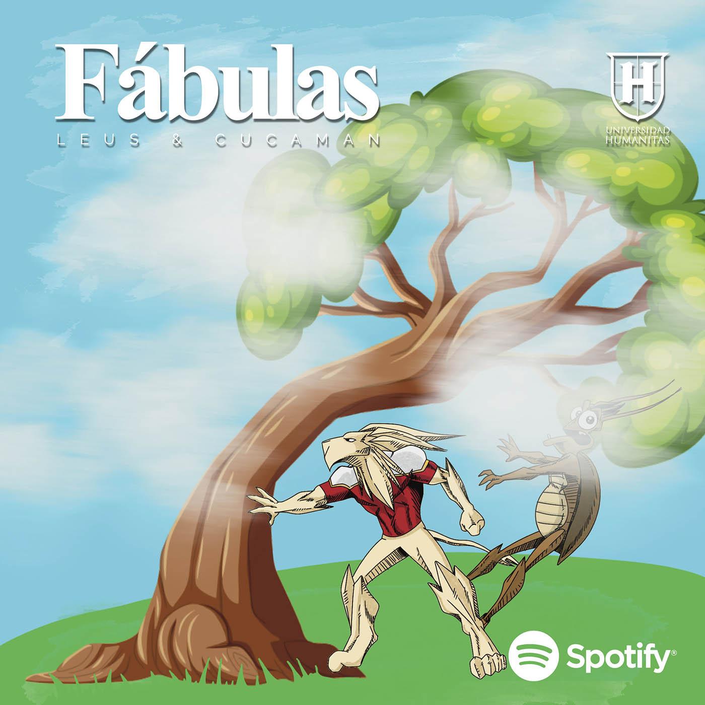 Fábula 24: El Viento y el Árbol ﻿ episode artwork