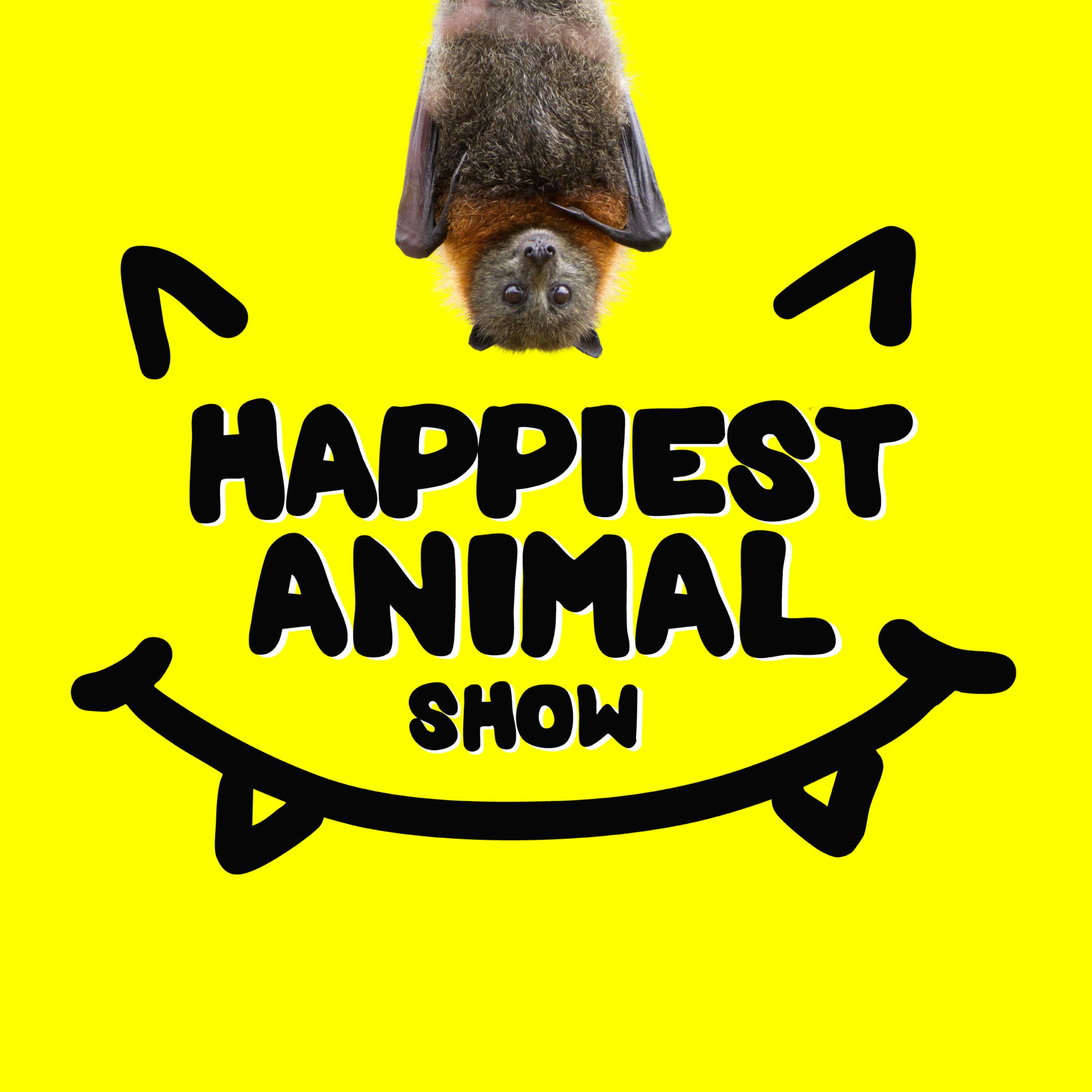 The Happiest Animal Show