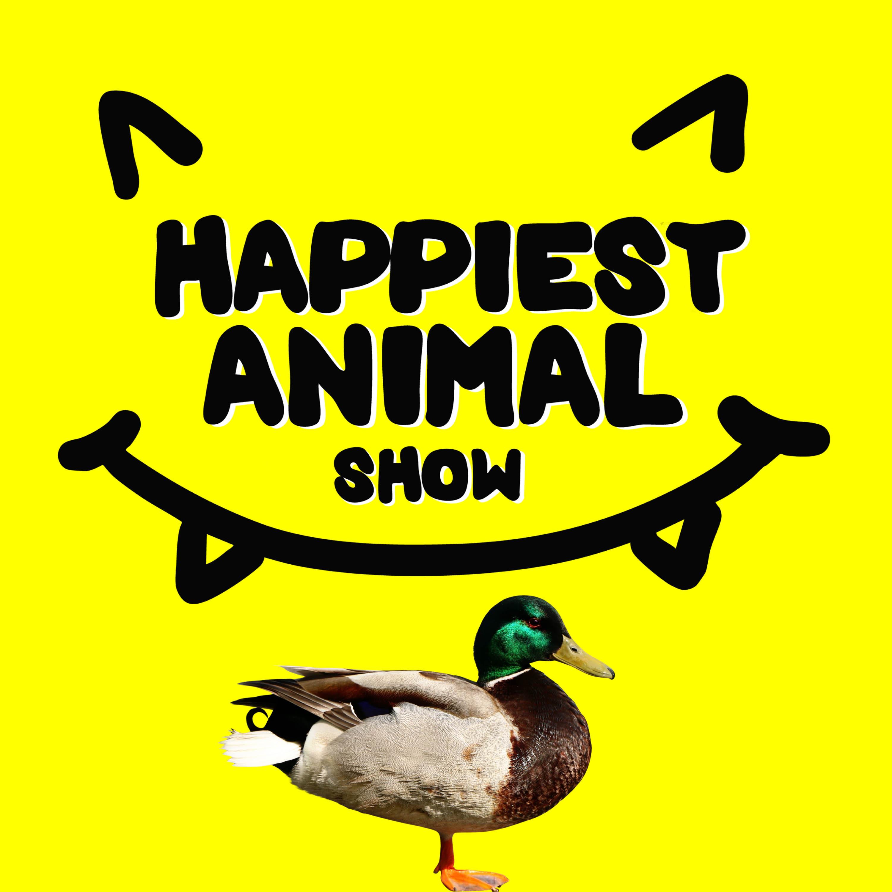 The Happiest Animal Show