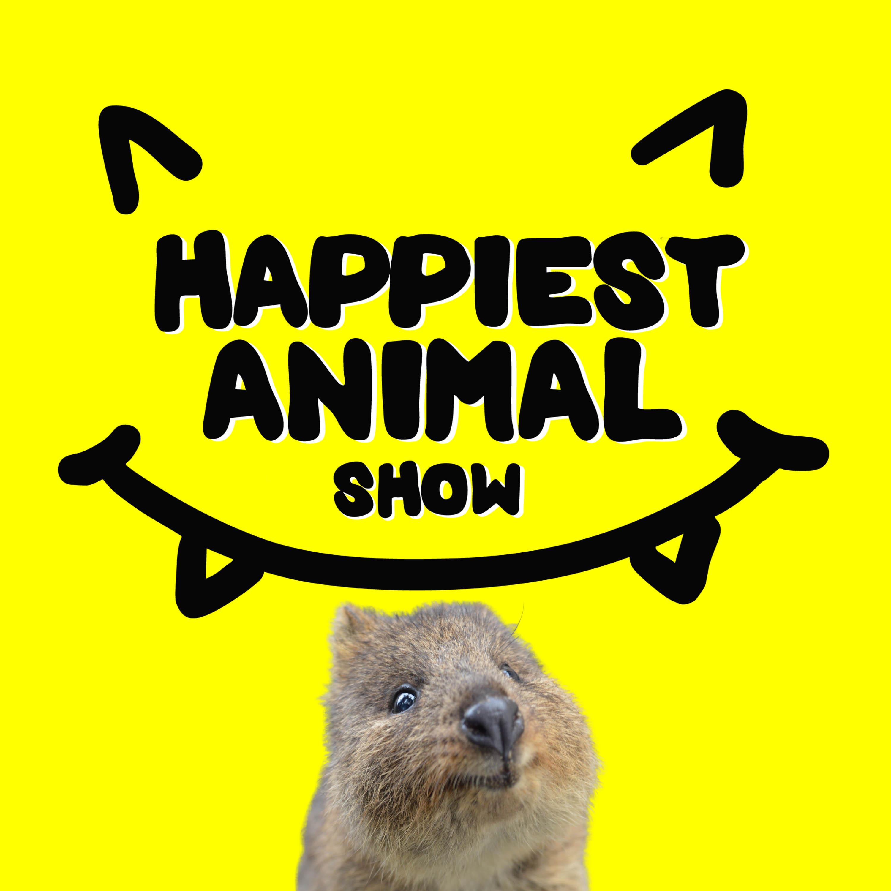 The Happiest Animal Show