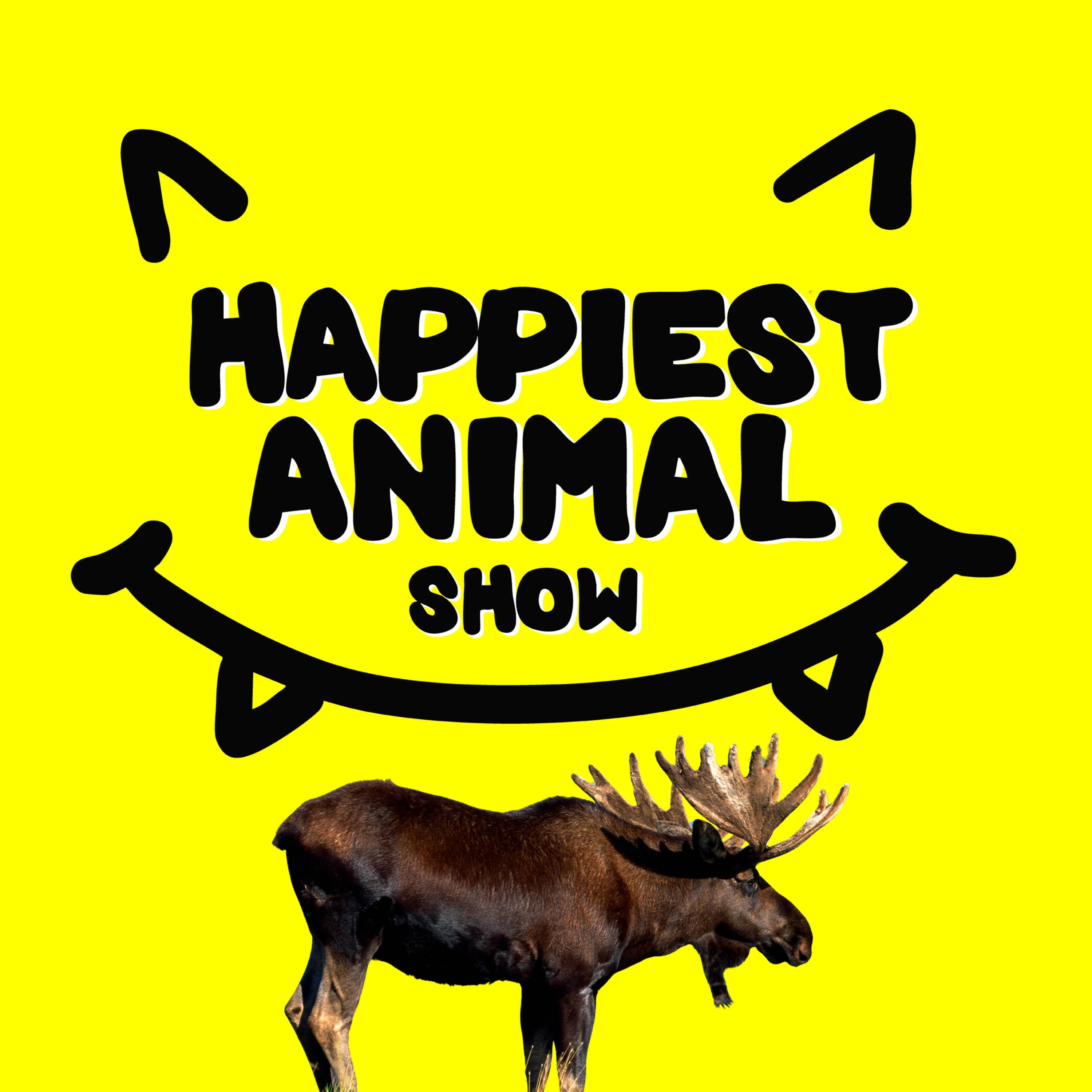 The Happiest Animal Show