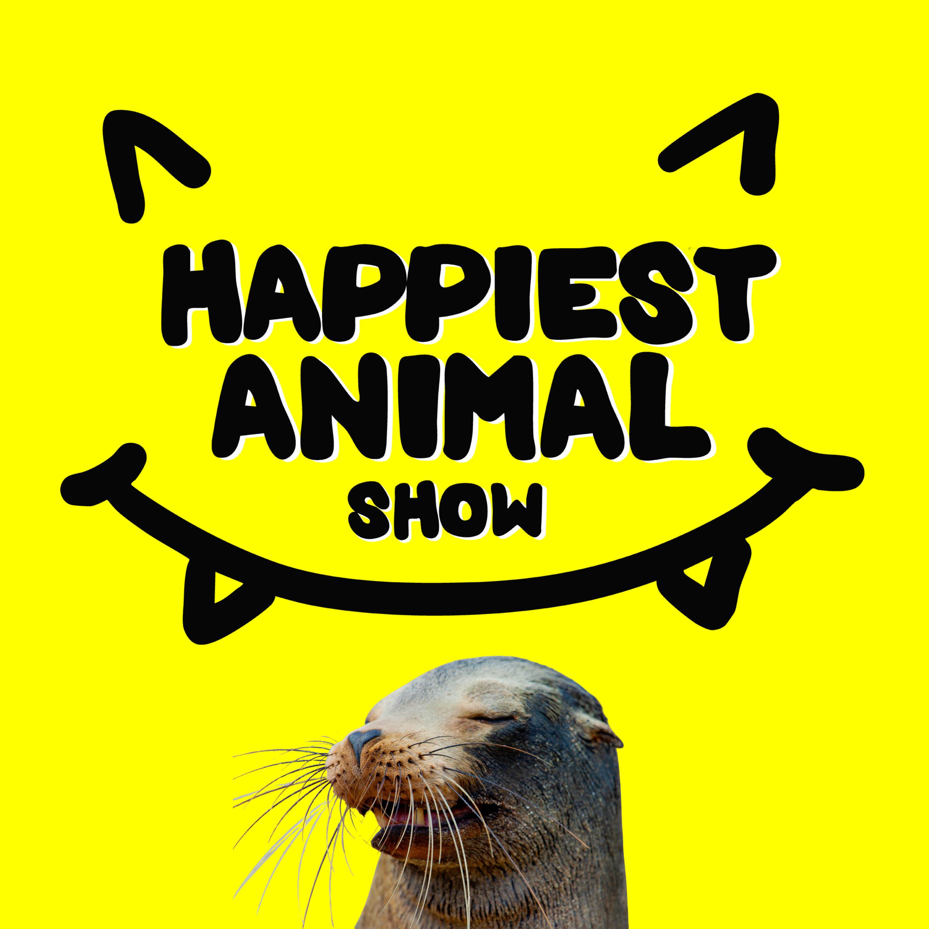 The Happiest Animal Show