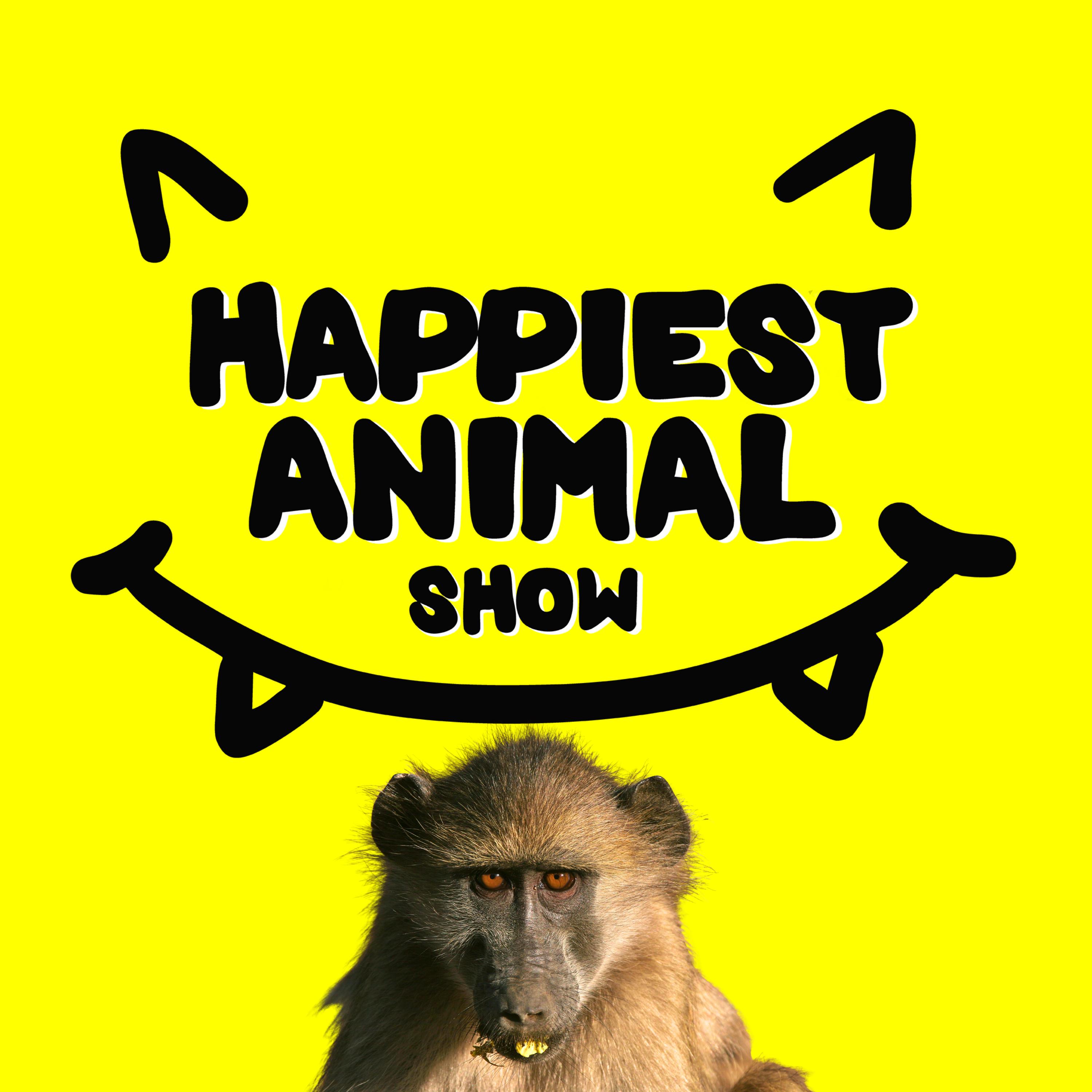 The Happiest Animal Show