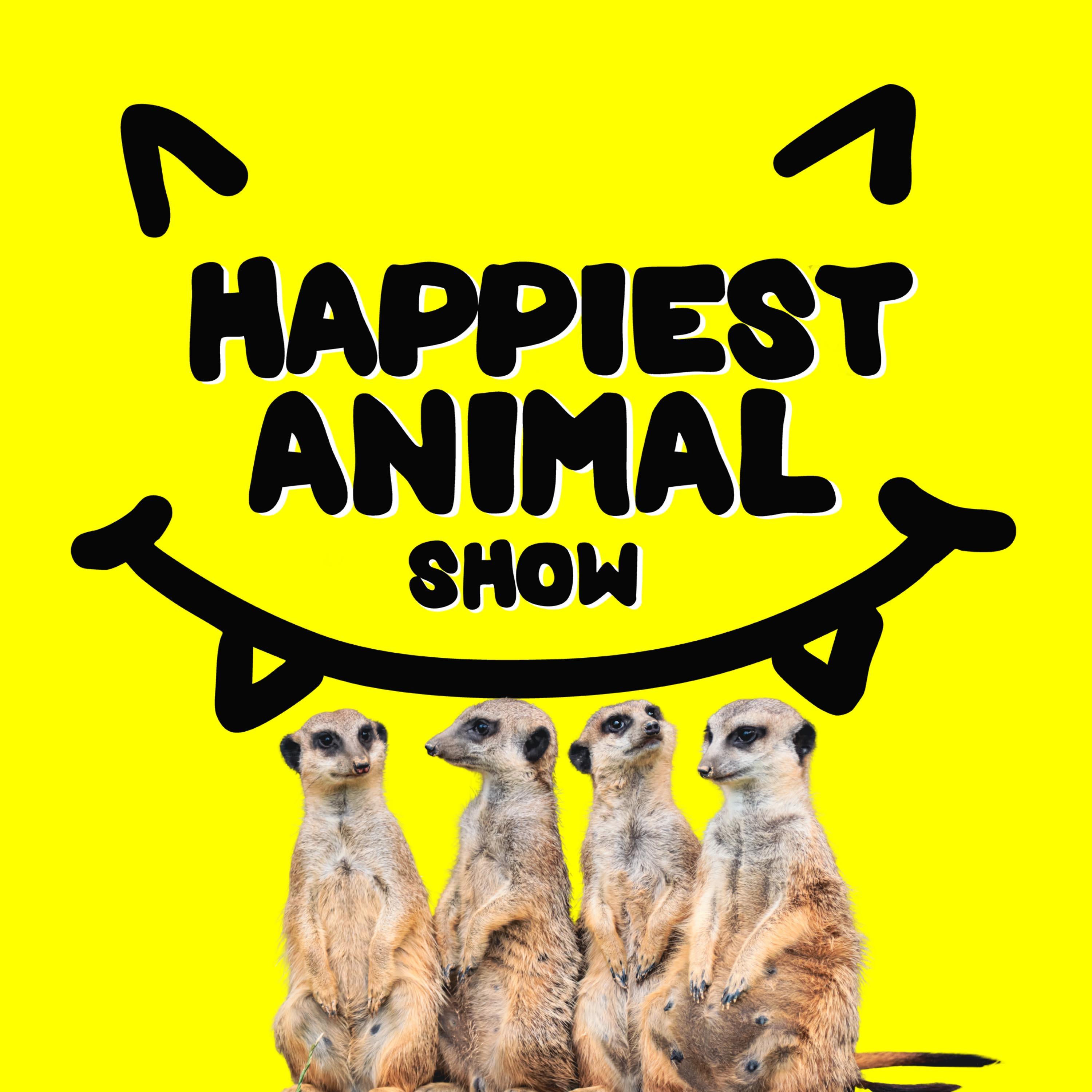 Desert Animals (with wildlife filmmaker Colin Ruggiero)
