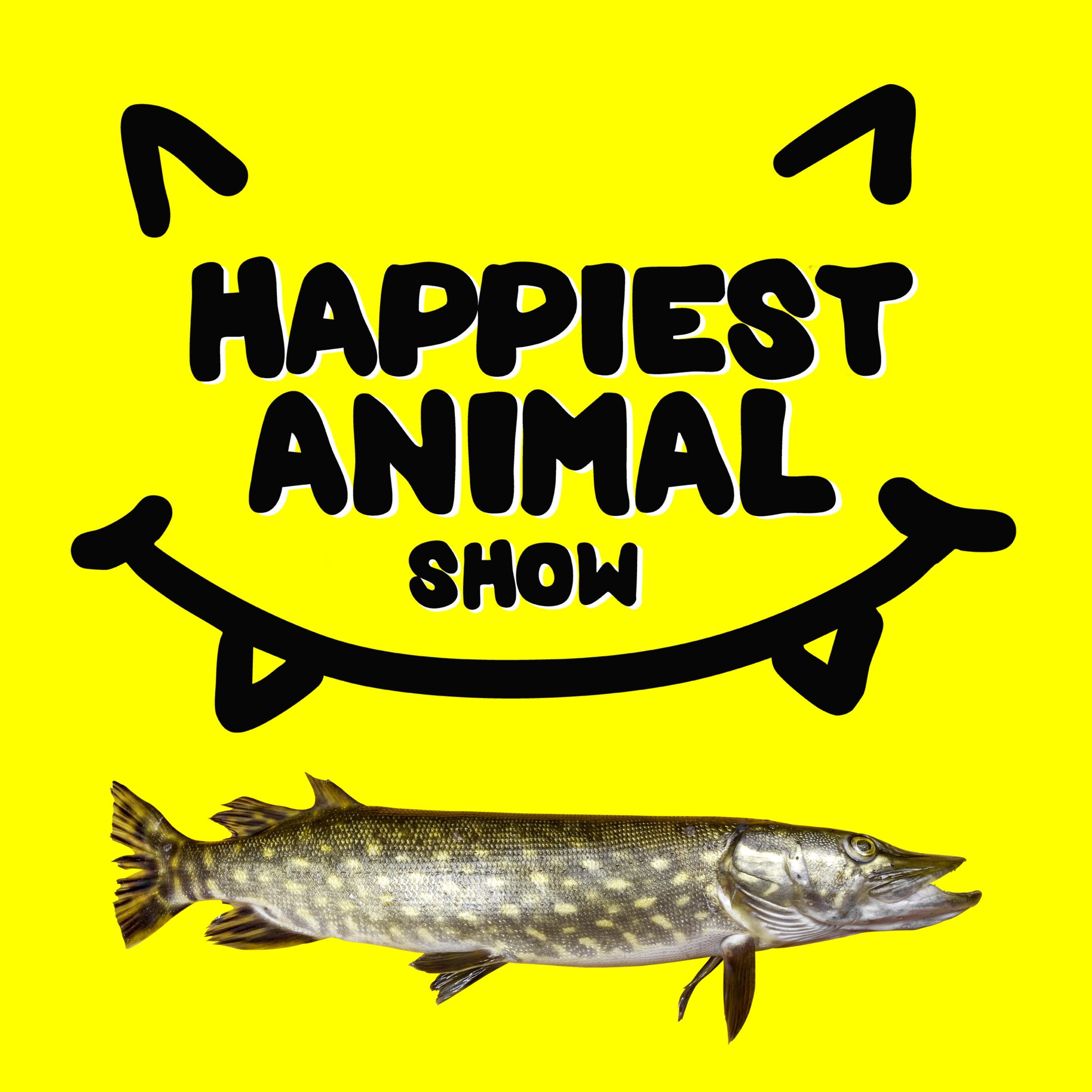 Lake Animals (with comedian Sean Jordan) episode artwork