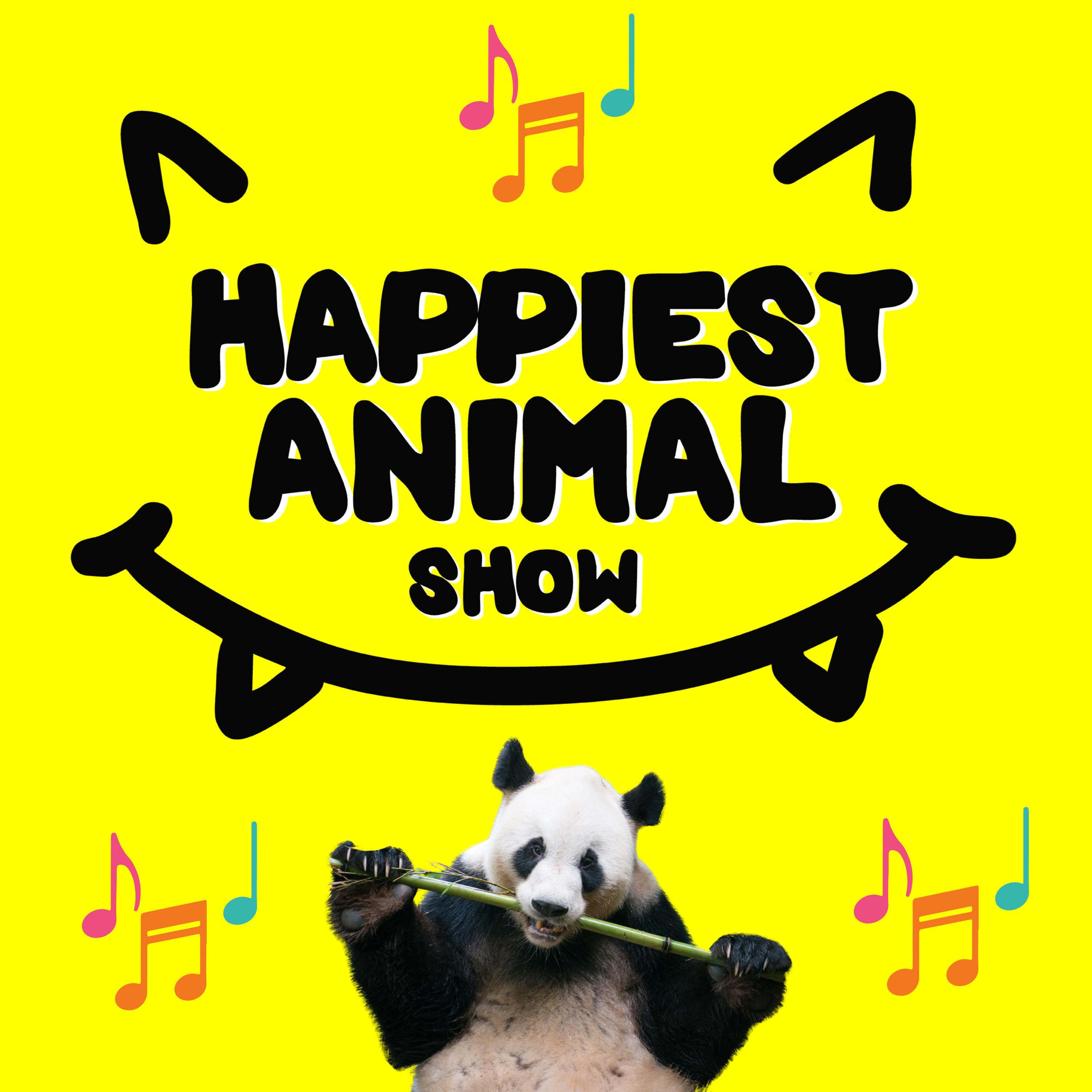 Animal Songs Round 2 episode artwork