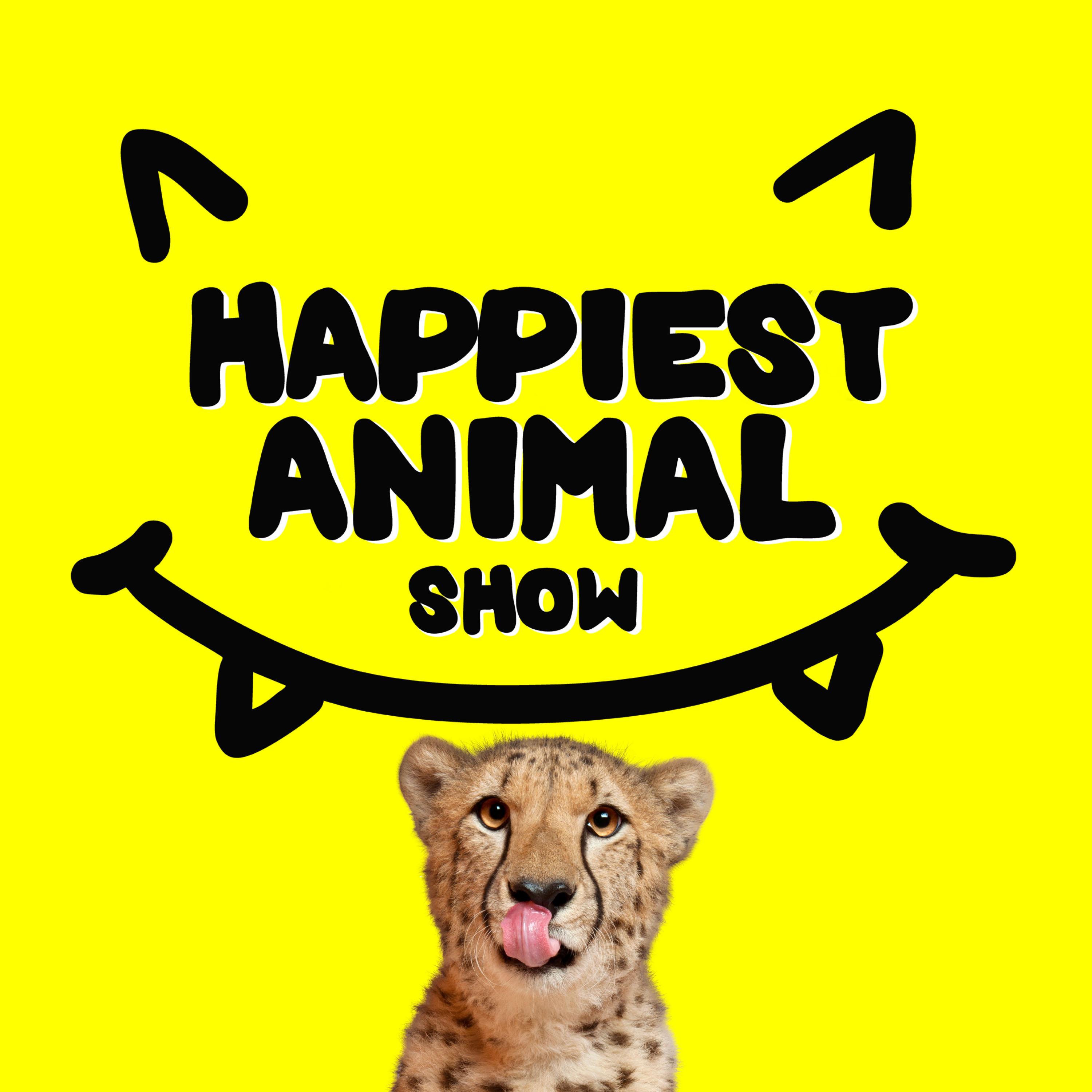 Happiest Fanimals (Animal Clues from Fans)